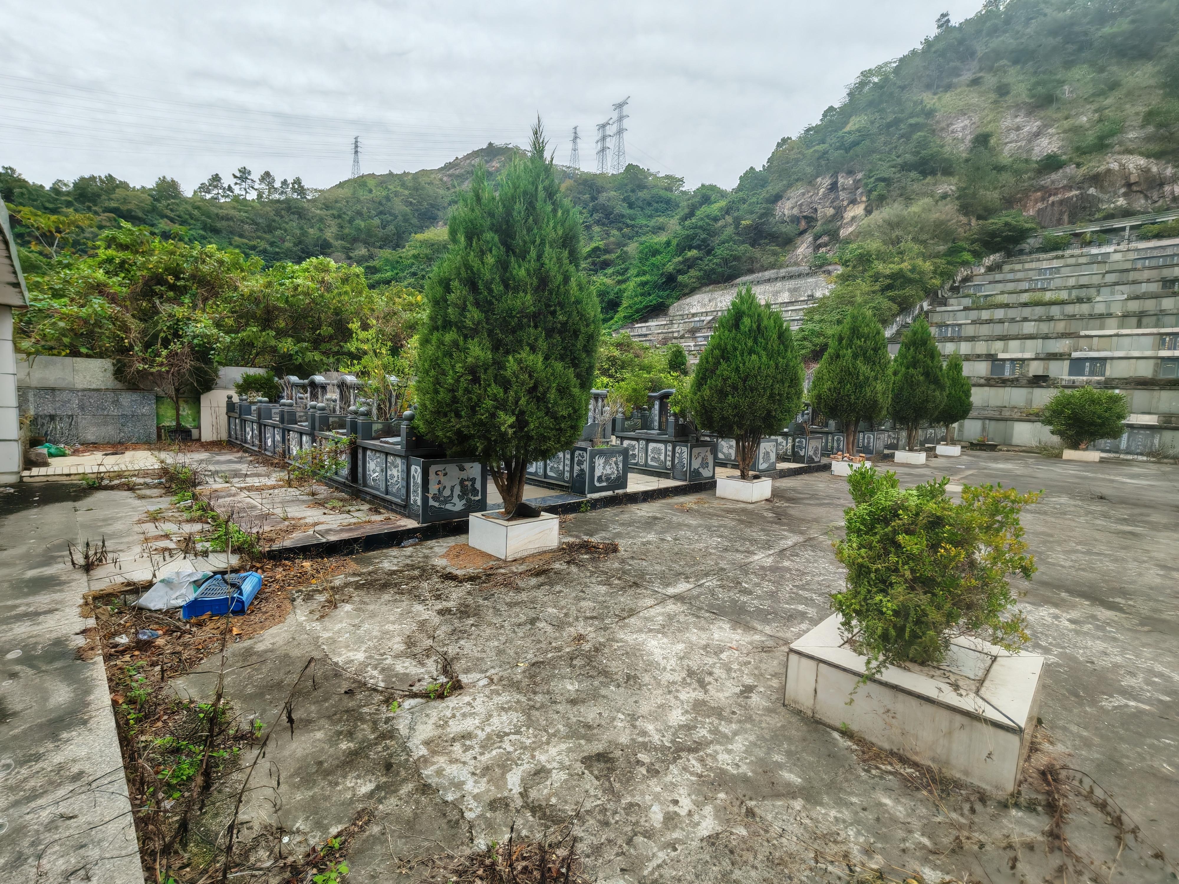 宜山镇陈家寺村骨灰堂园区图片