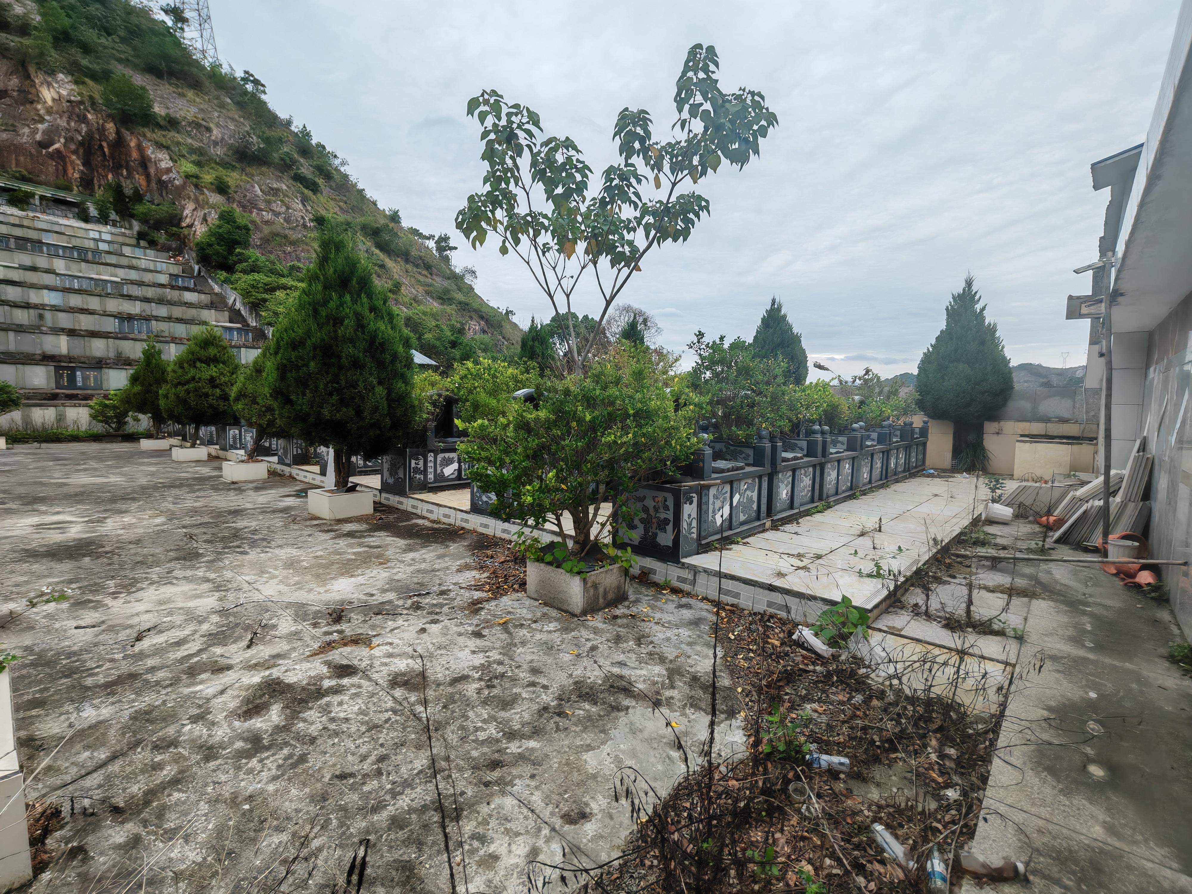 宜山镇陈家寺村骨灰堂园区图片