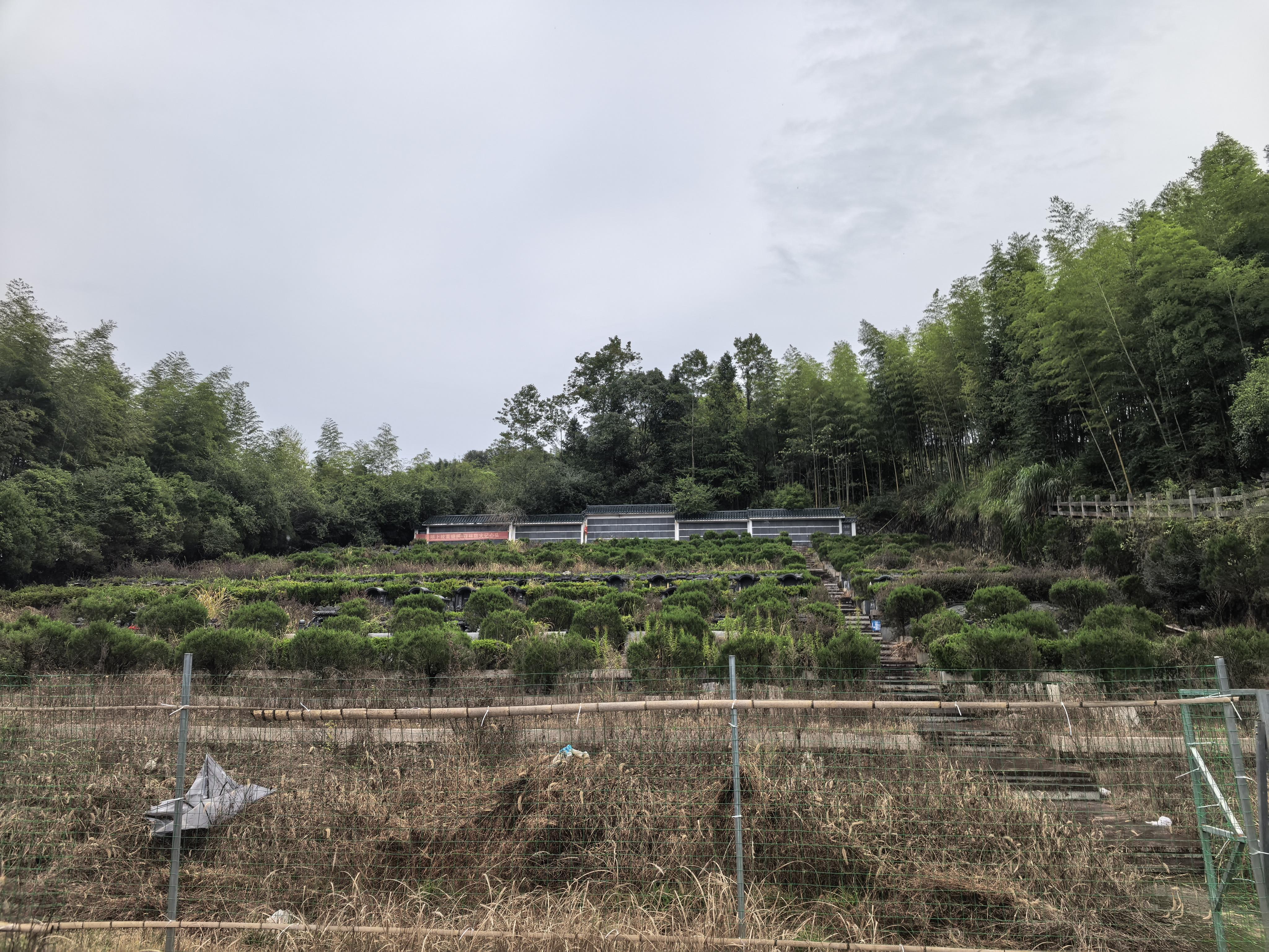 莒溪镇龟山公益性公墓园区图片
