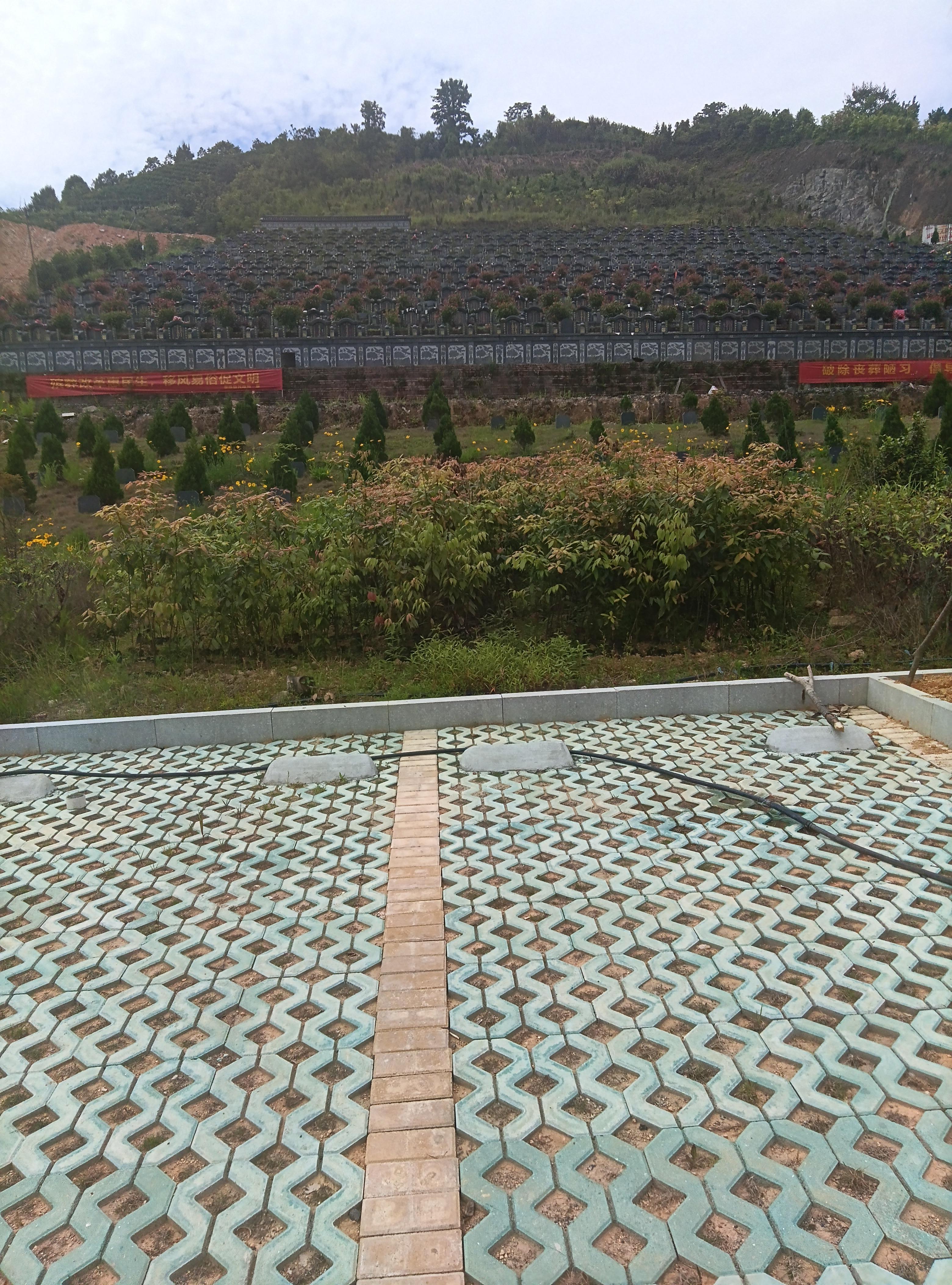 泰顺县彭溪镇月湖狮山公墓园区图片