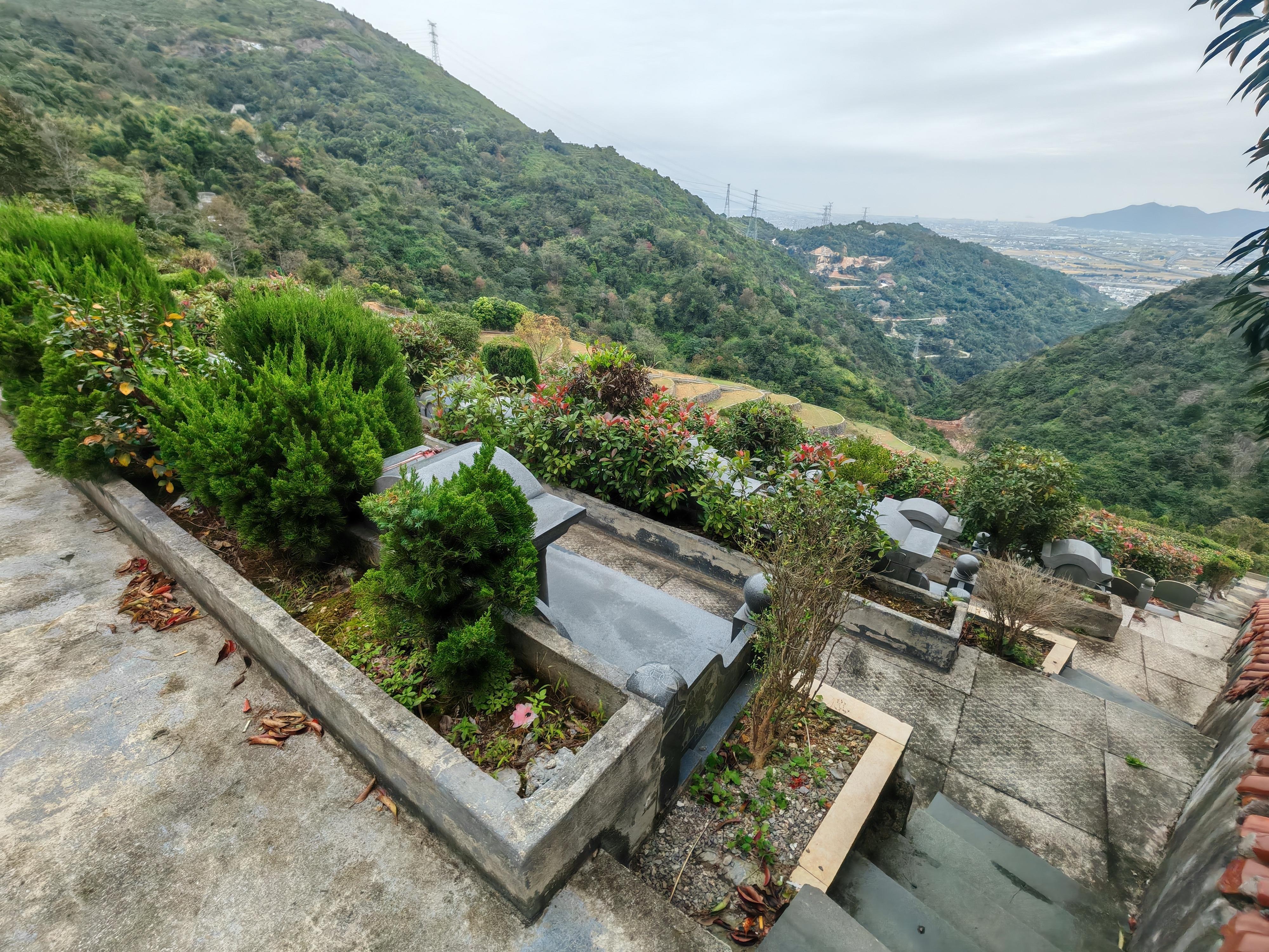 钱库镇朱家岛山公益性公墓园区图片