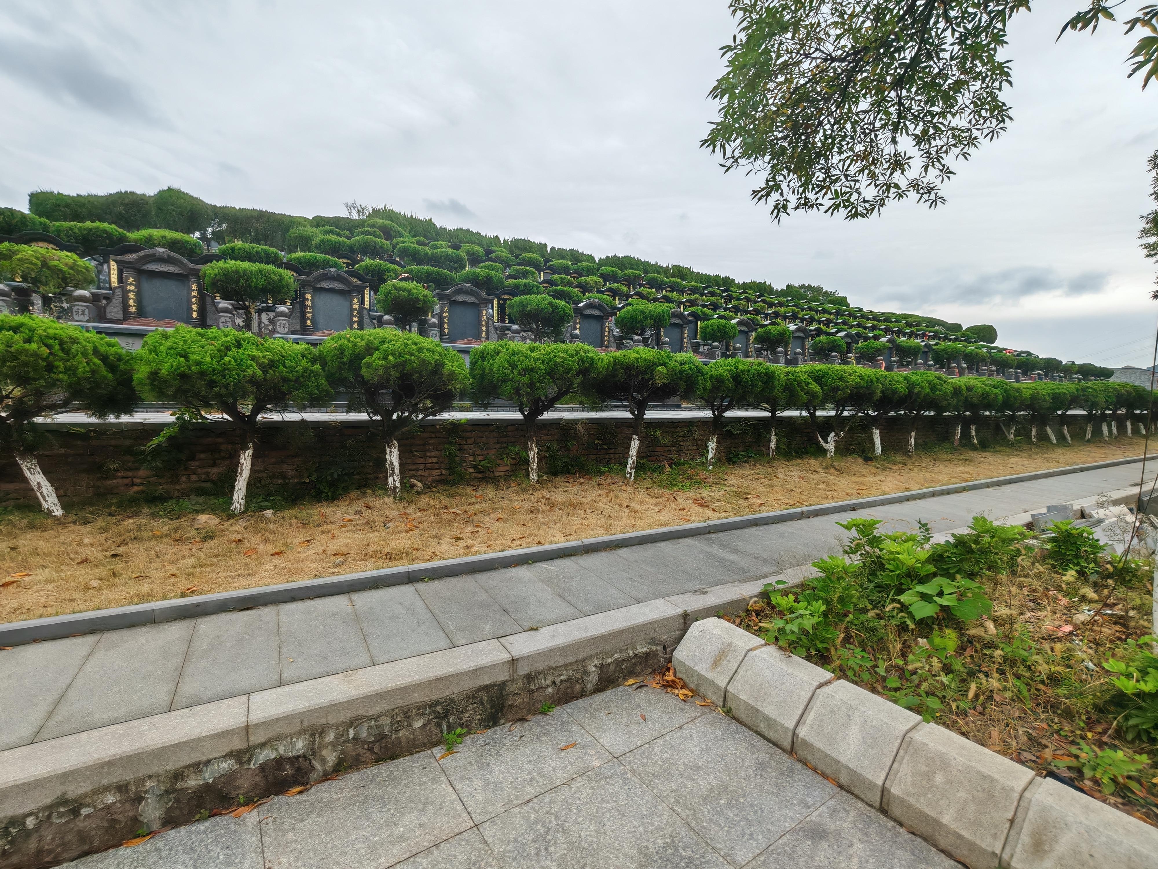 钱库镇金龙山公益性公墓园区图片