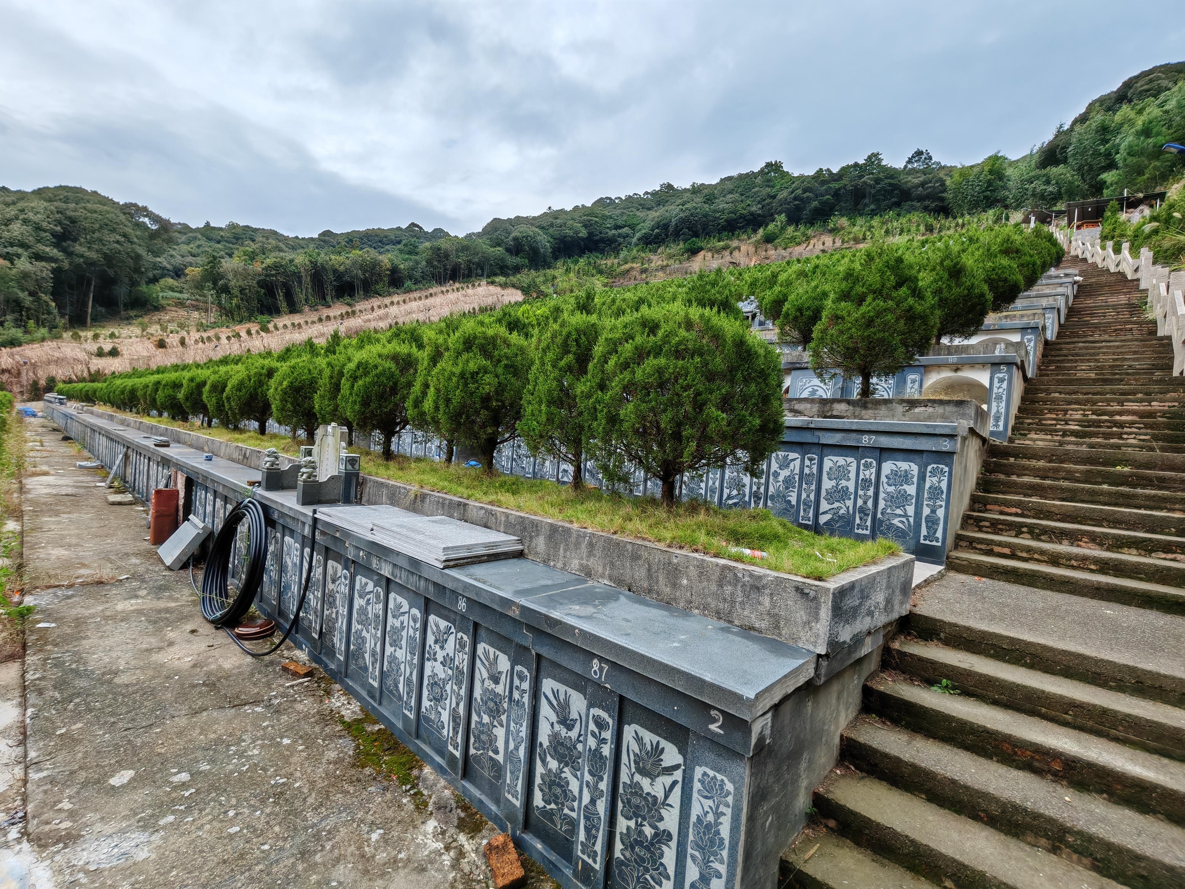 桥墩镇龙凤山公益性公墓园区图片