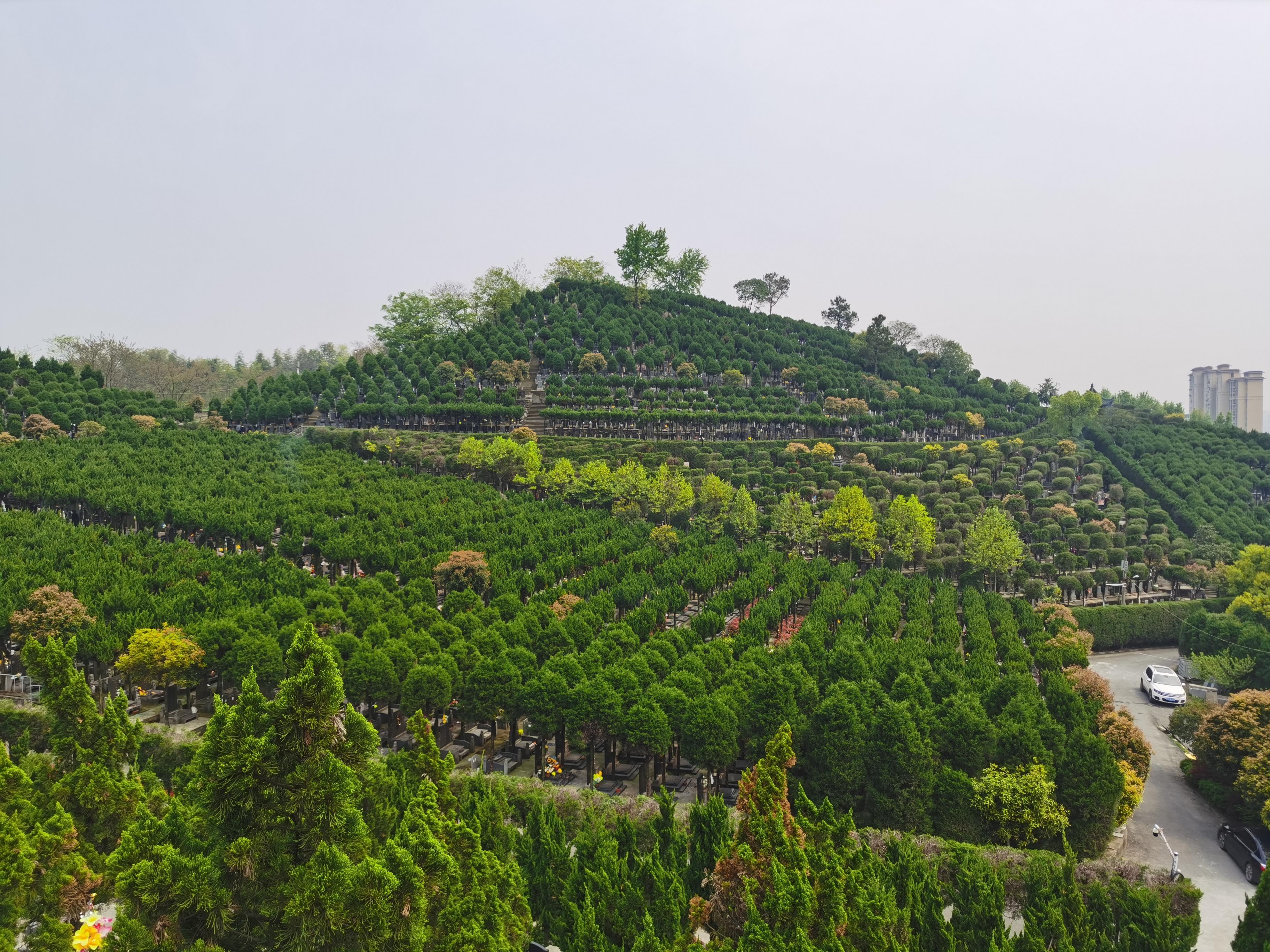 杭州余杭凤凰山公墓园区图片
