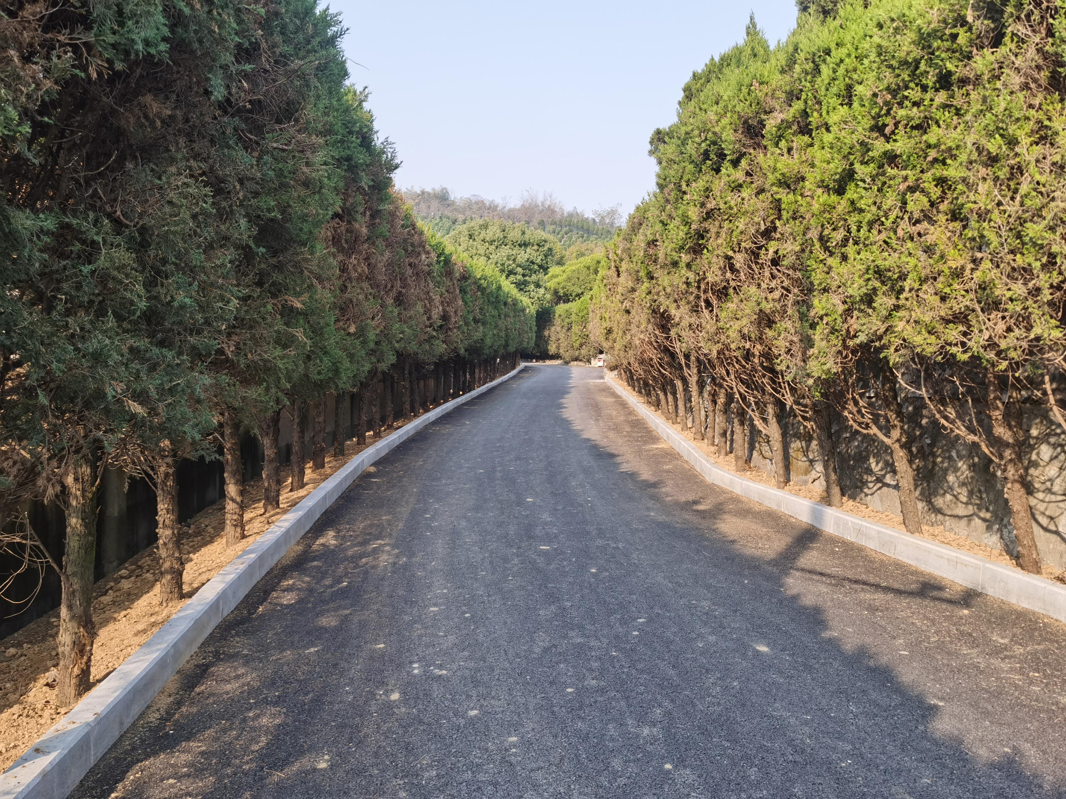 杭州余杭凤凰山公墓园区图片