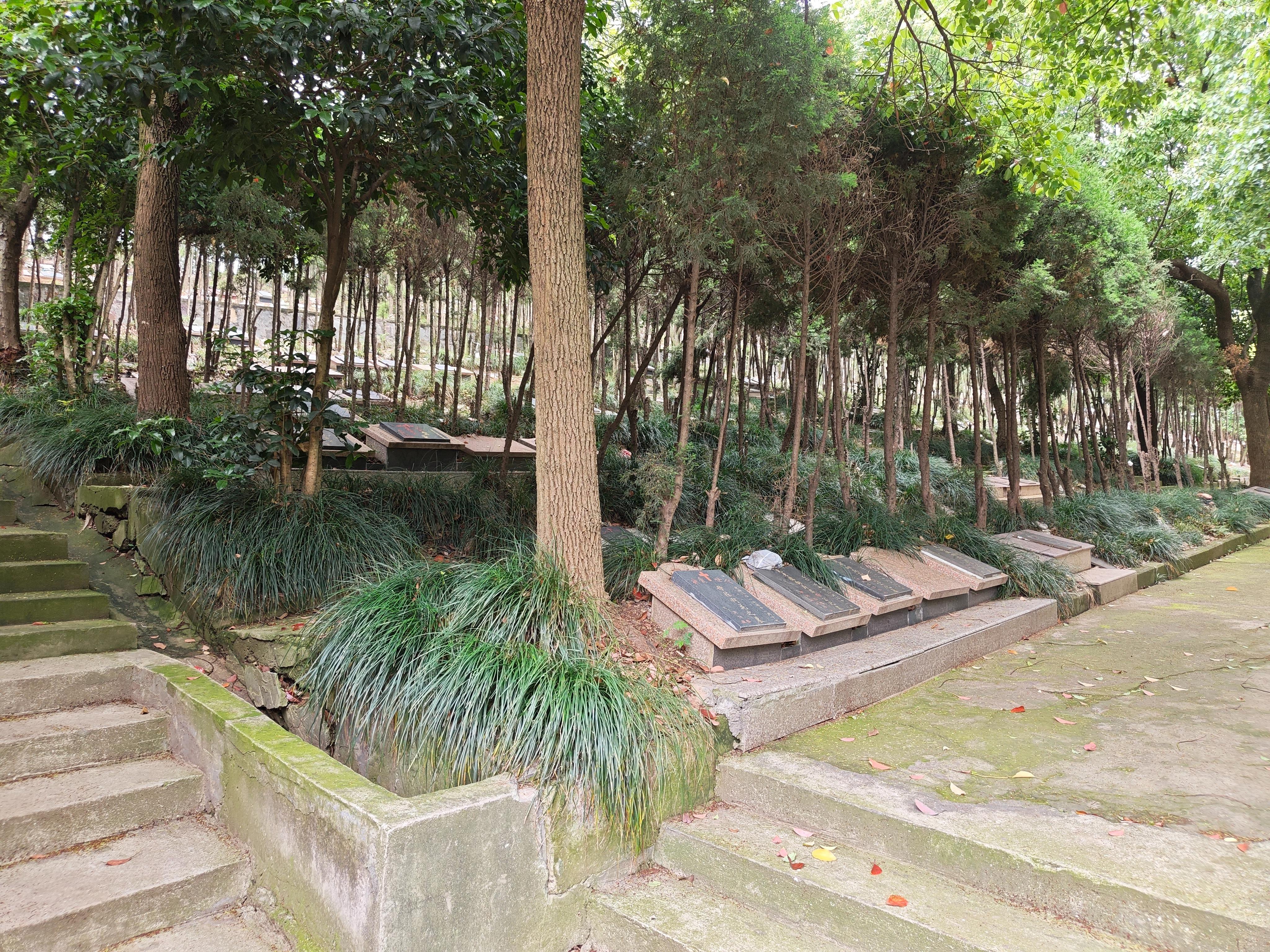 杭州市钱塘区河庄街道蜀山公墓园区图片