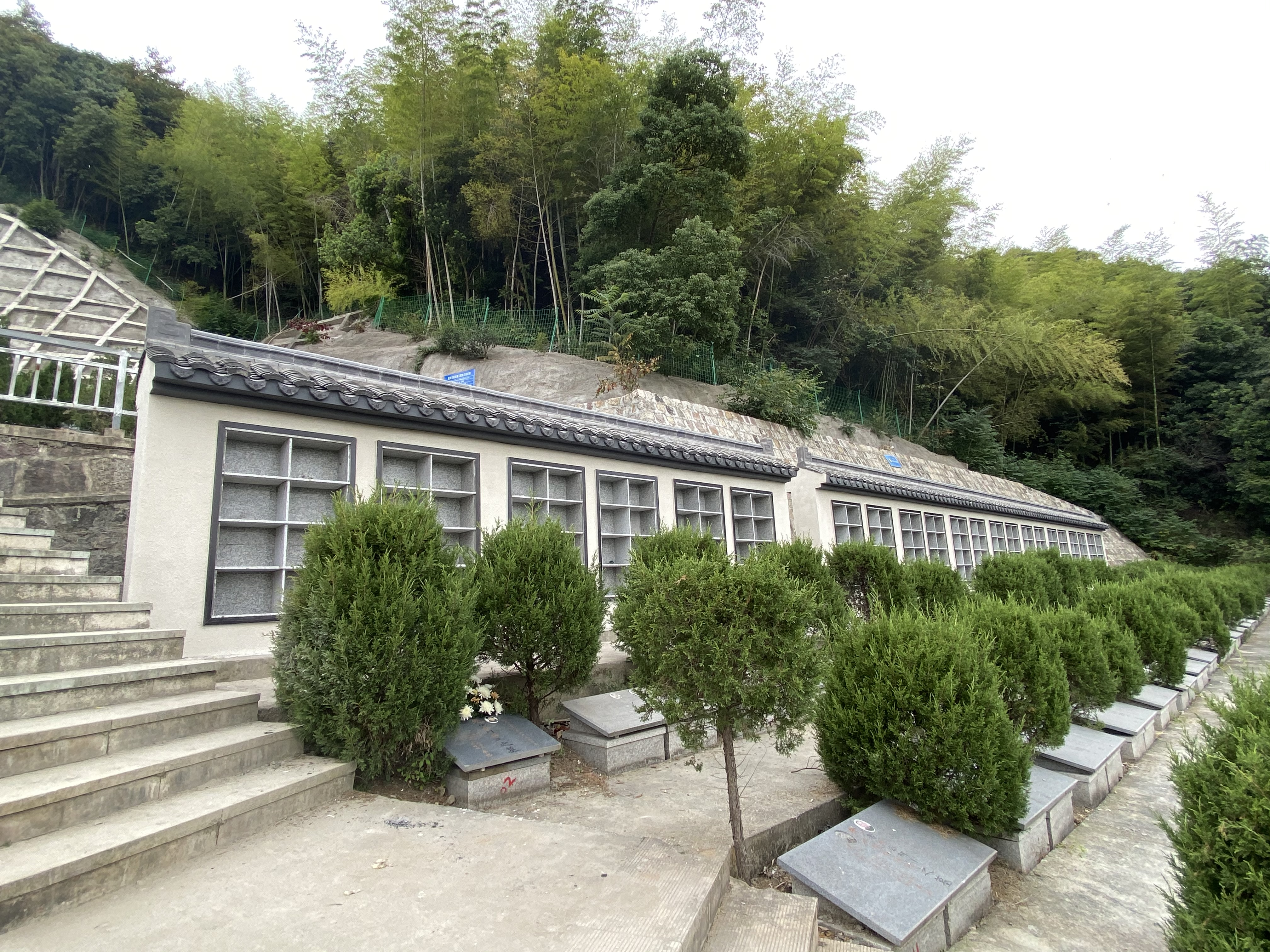 富盛镇老岭公墓园区图片
