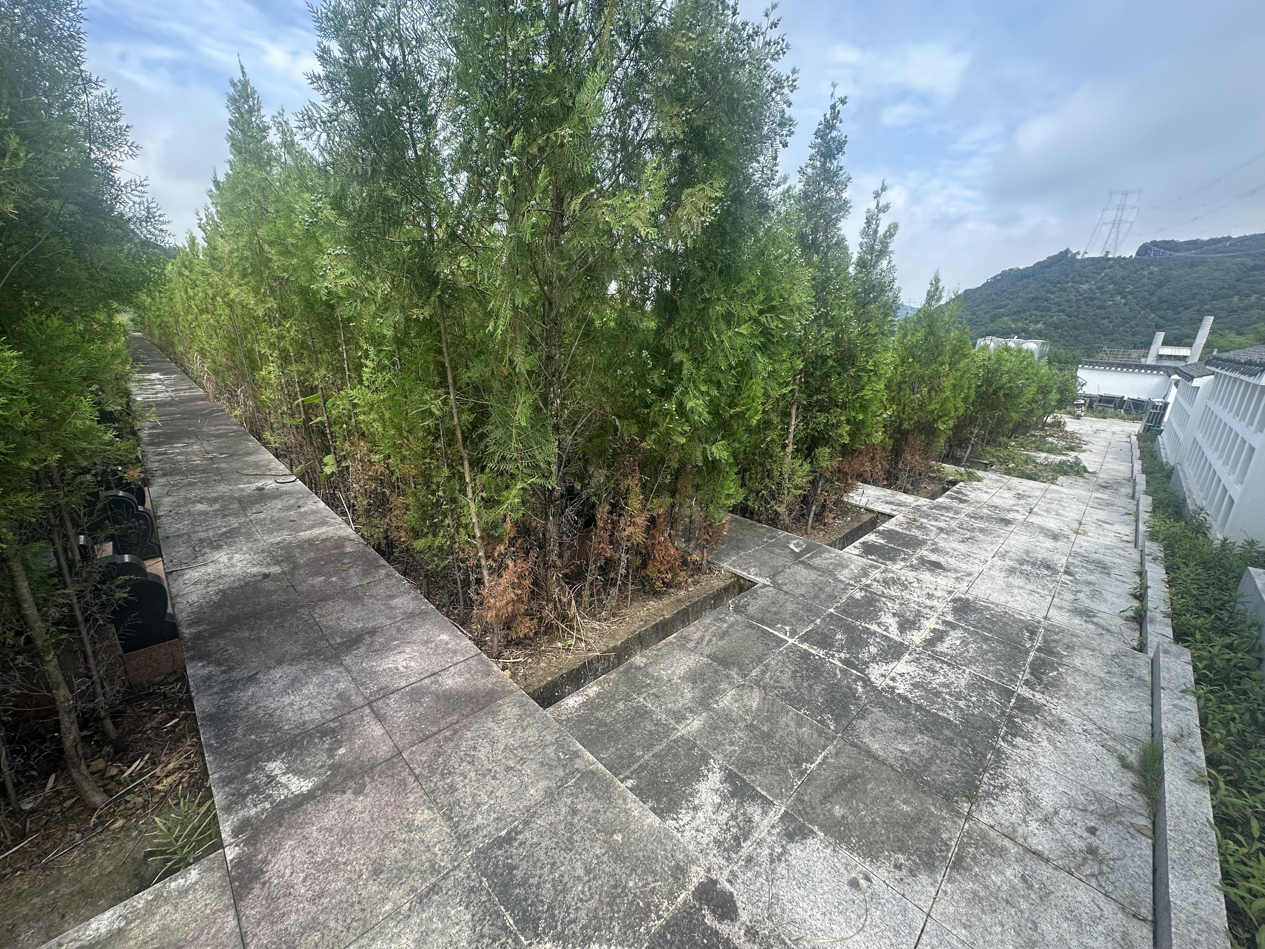 驿亭镇新横塘公益性公墓园区图片