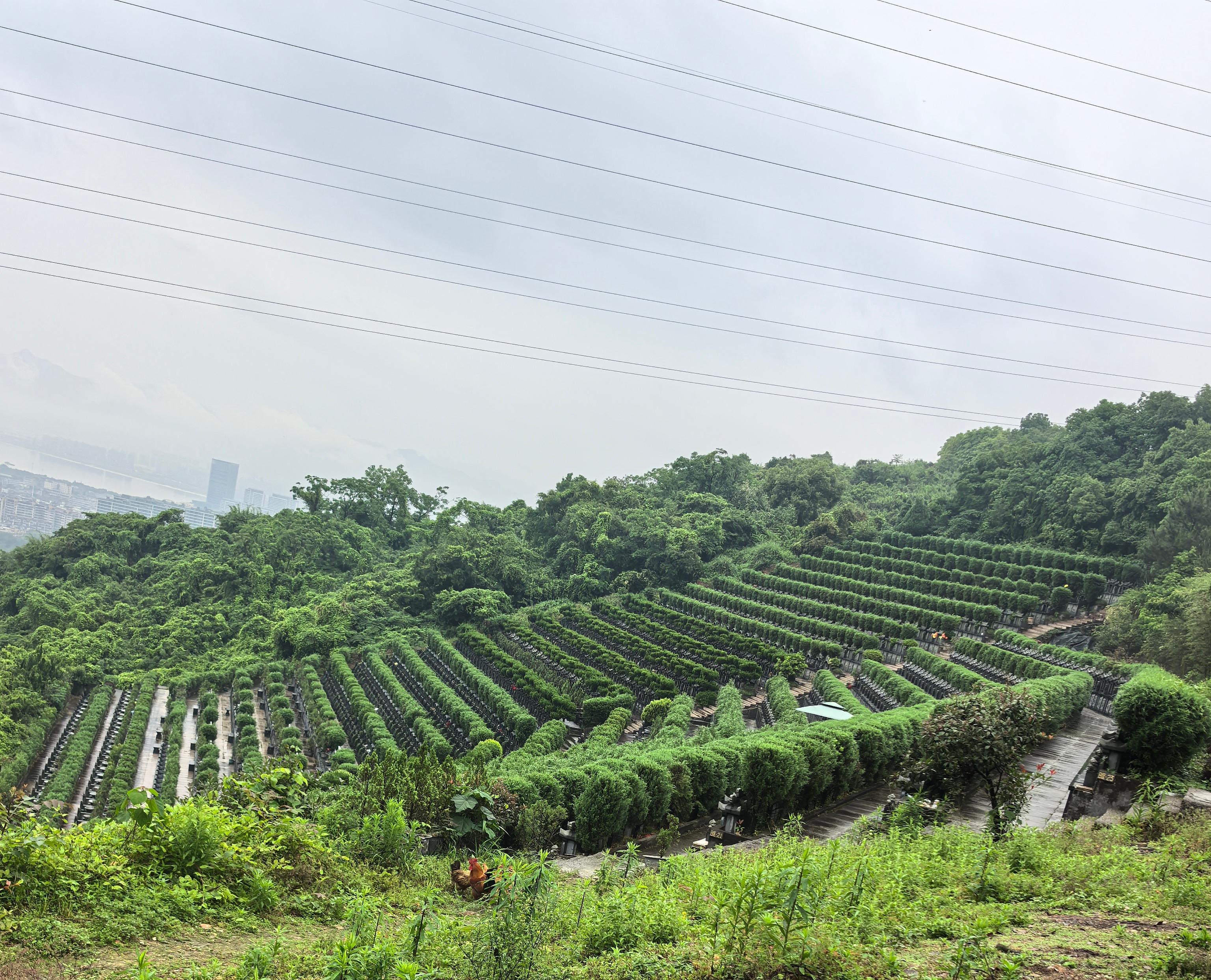 小酒壶生态墓地园区图片