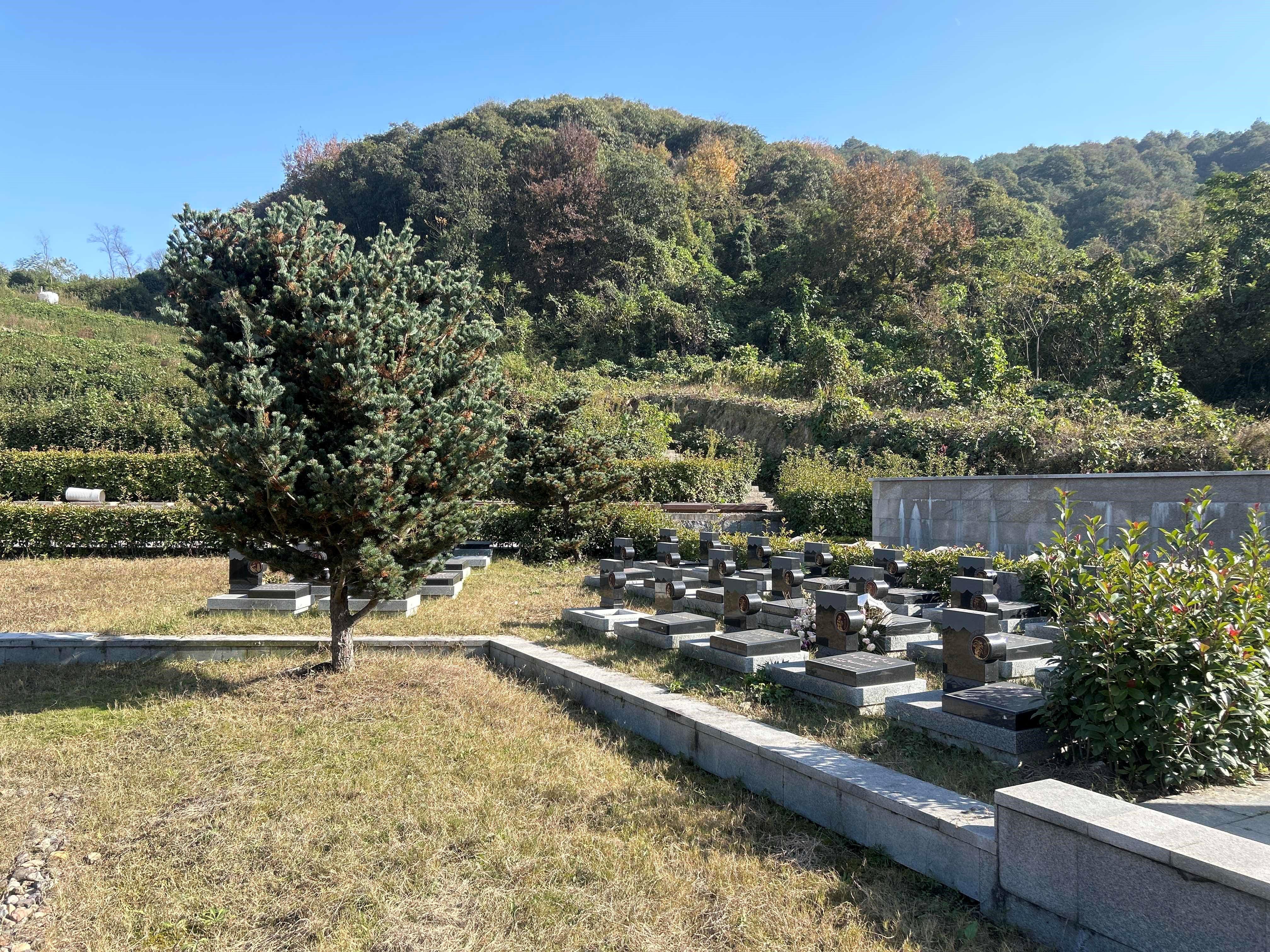 上虞区南山陵园园区图片