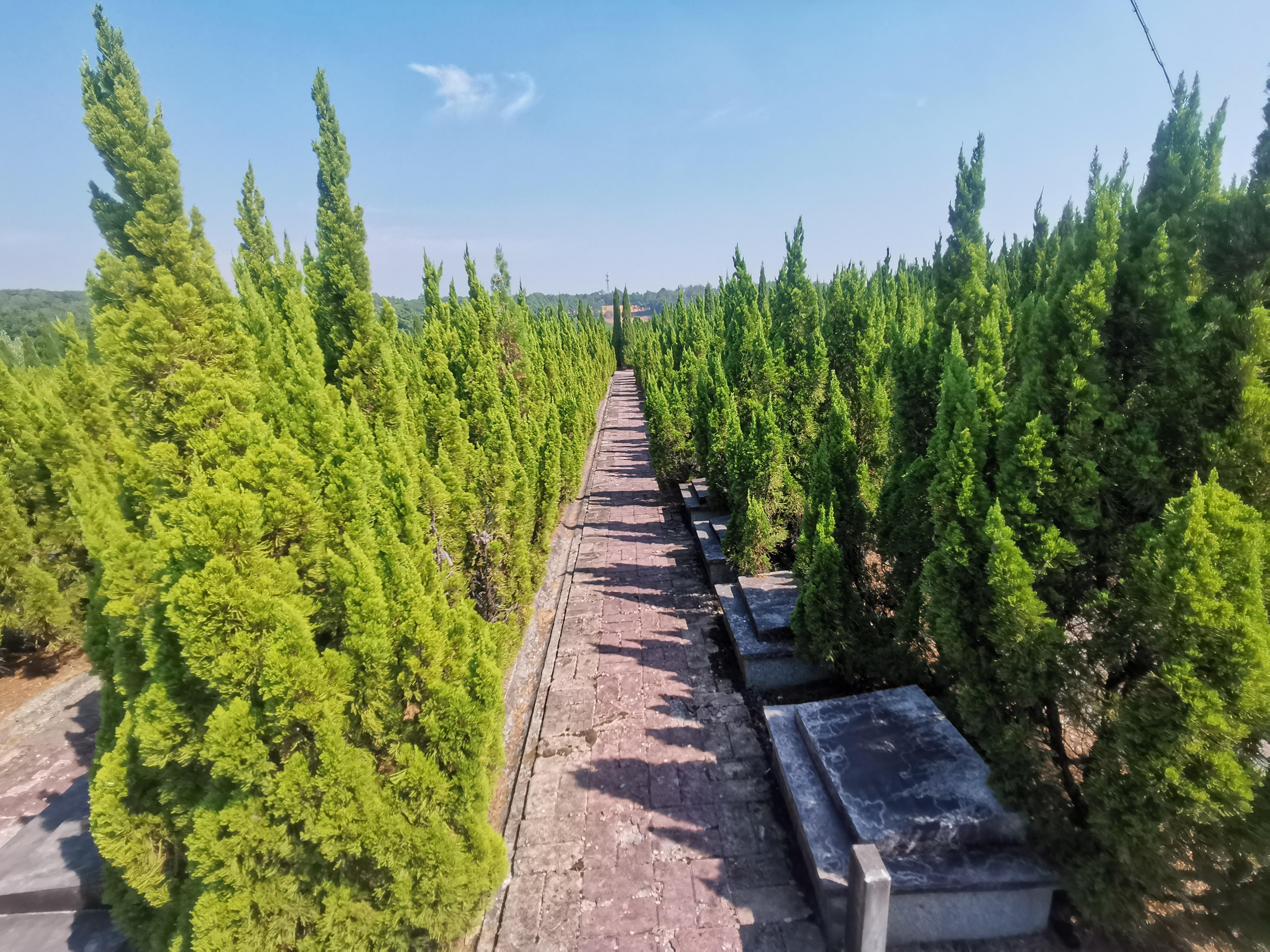 金华市婺城区罗埠镇庙山公墓园区图片