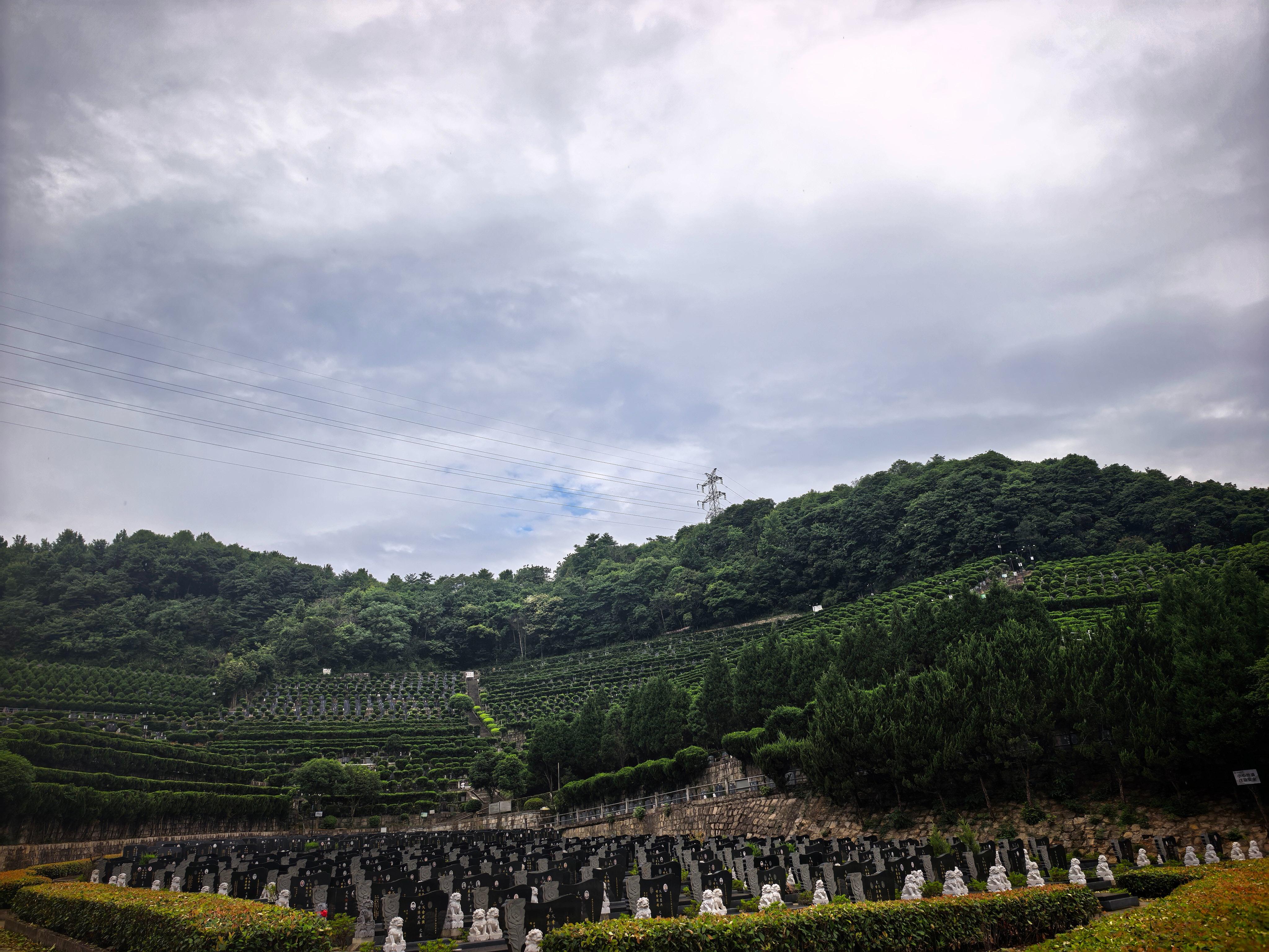 绍兴市望秦山陵园园区图片