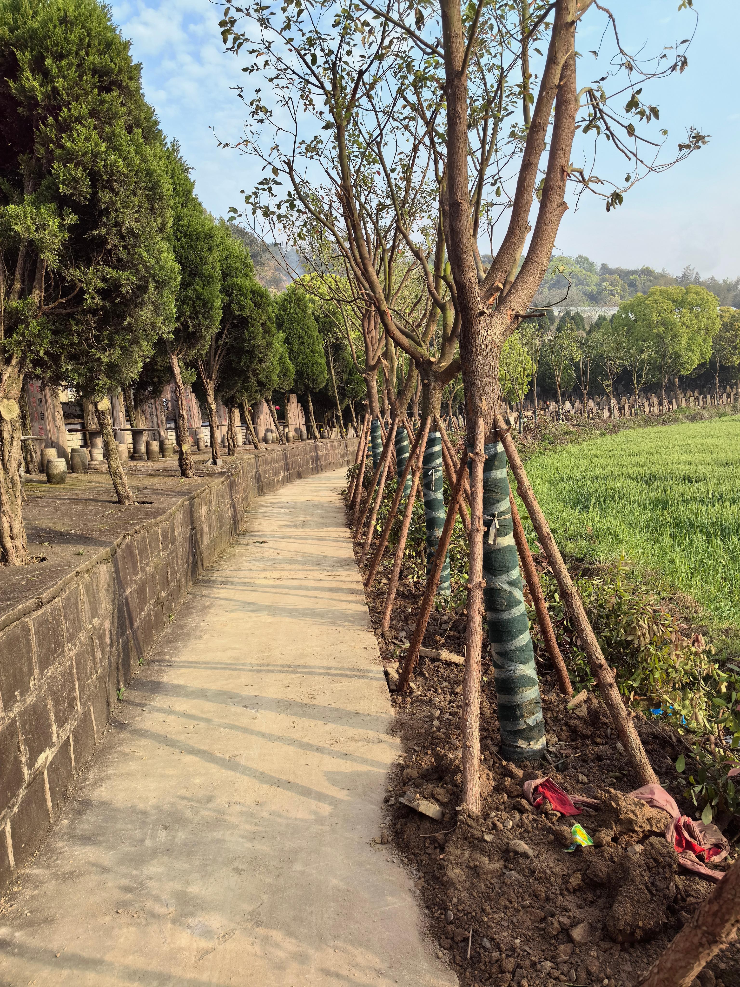 宁波市北仑区龙中墓园园区图片
