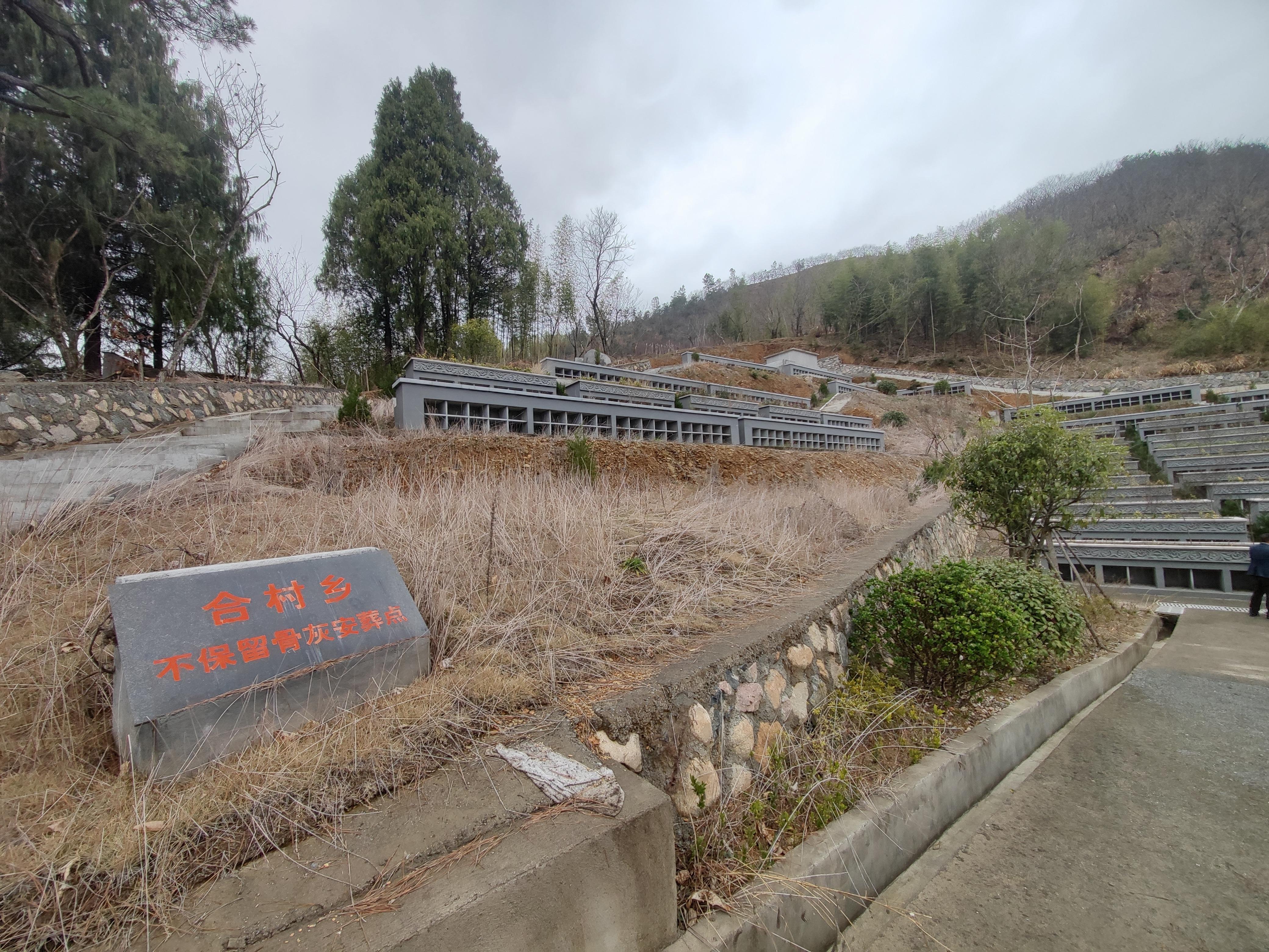 合村乡乡级公墓园区图片