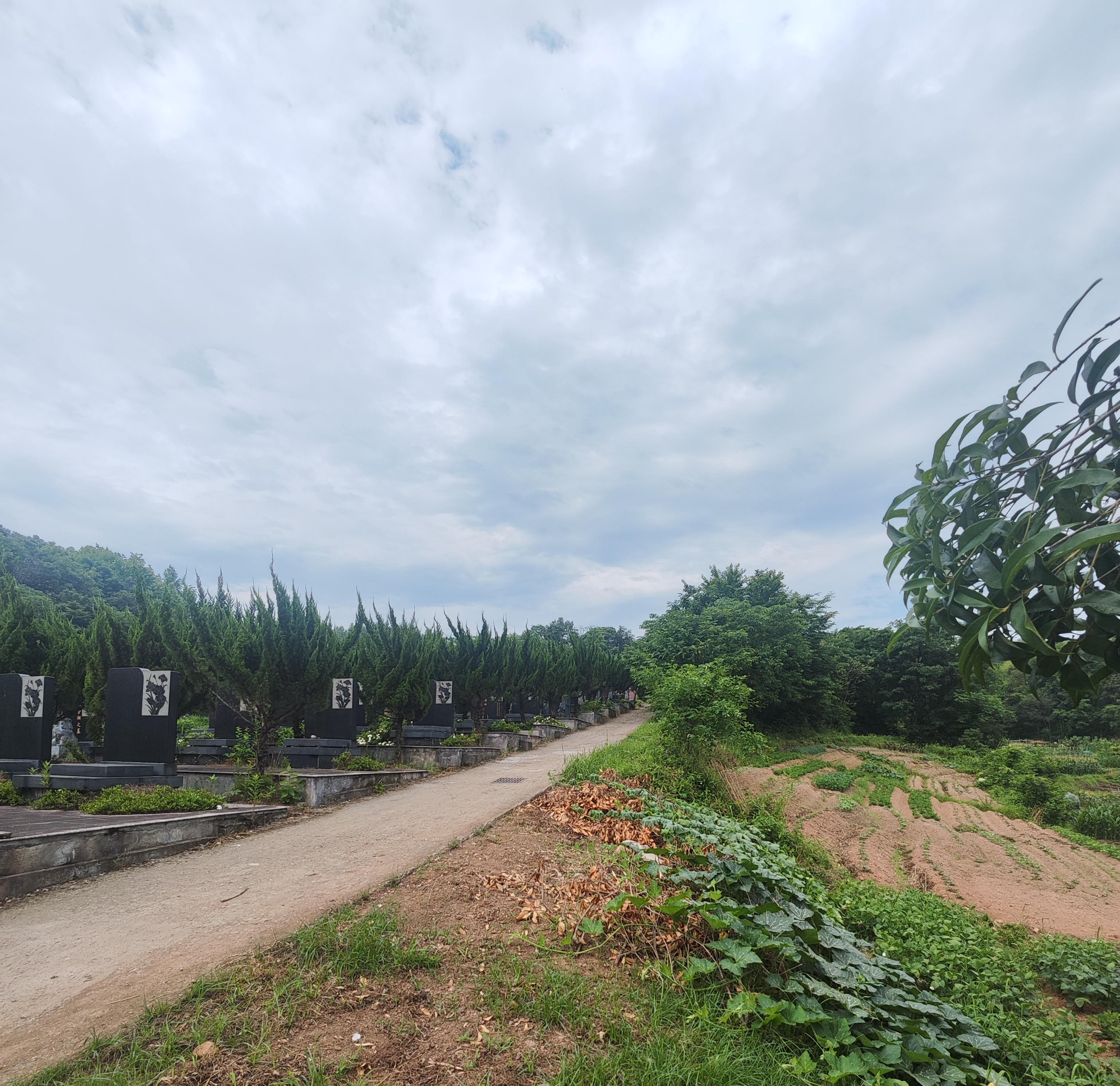 尹家山公墓园区图片