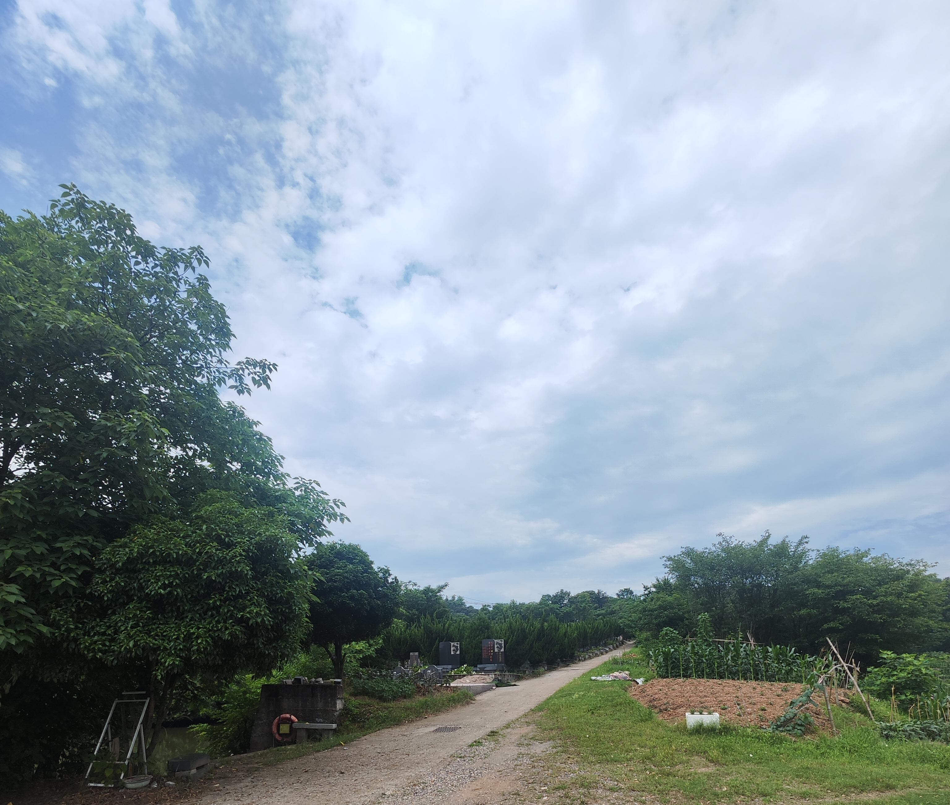 尹家山公墓园区图片