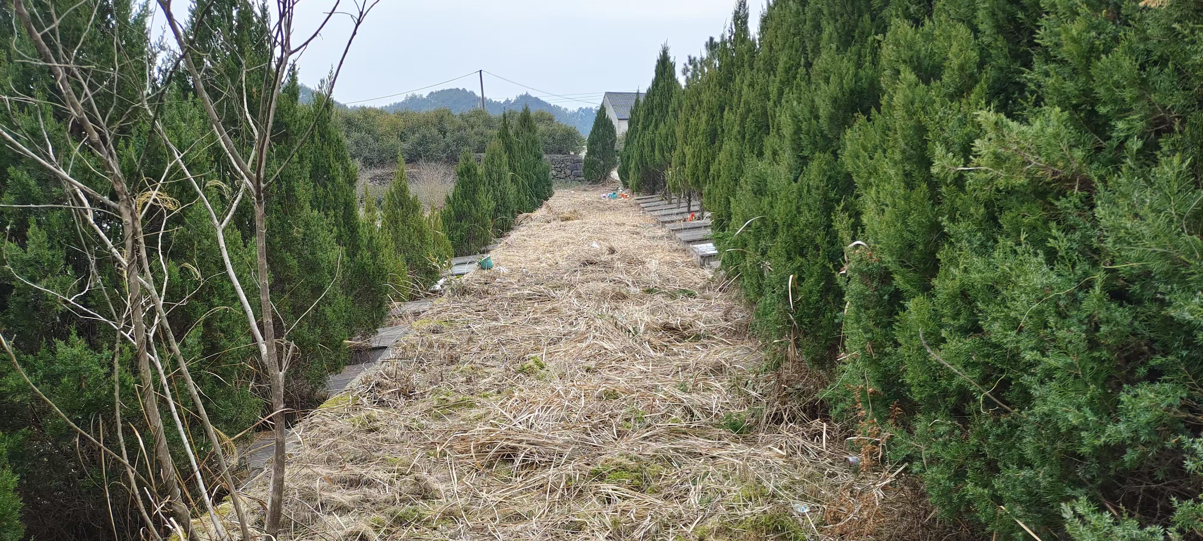 金华市磐安县尖山镇骨灰堂园区图片