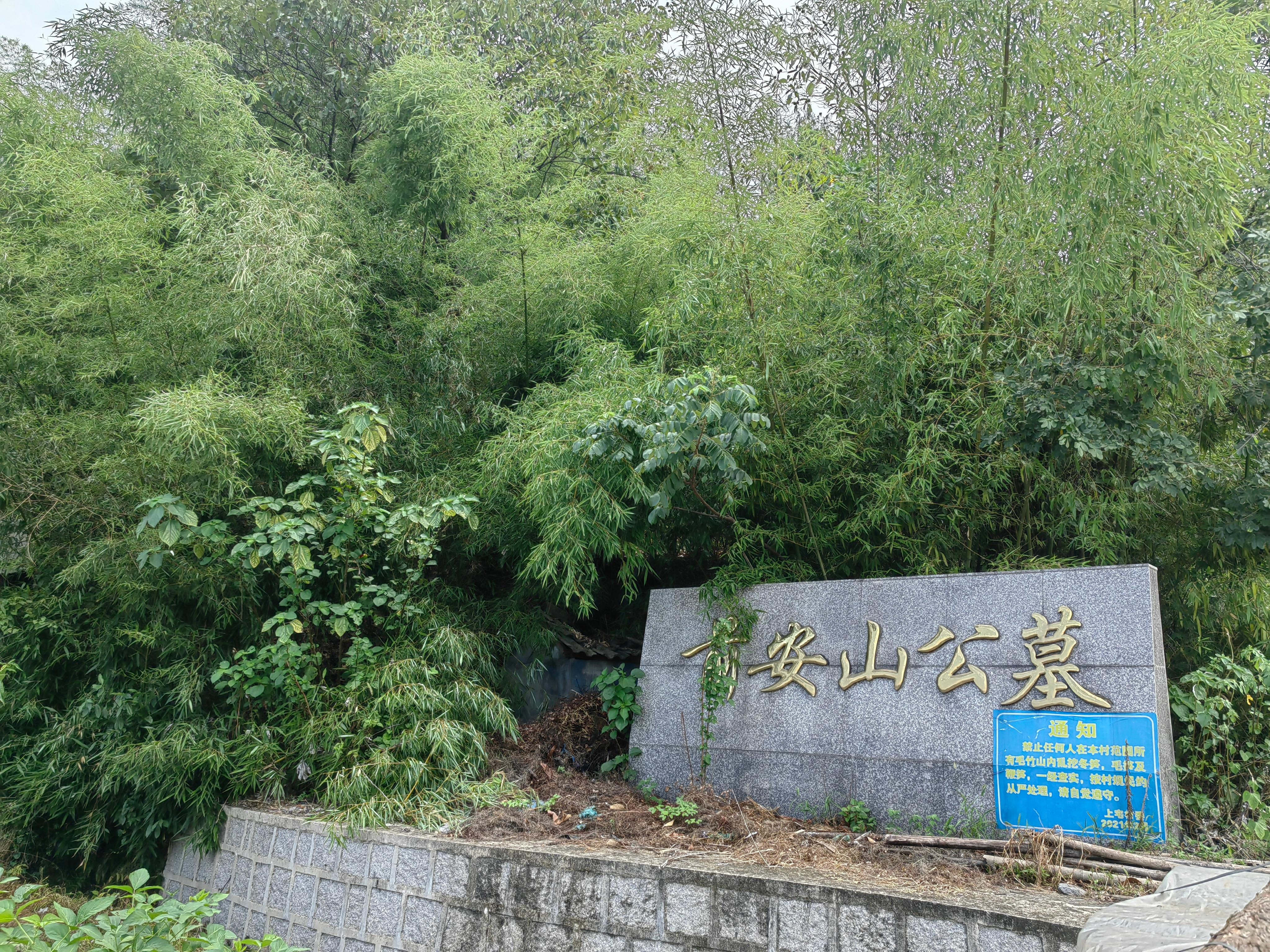 丁宅乡前安山公墓园区图片