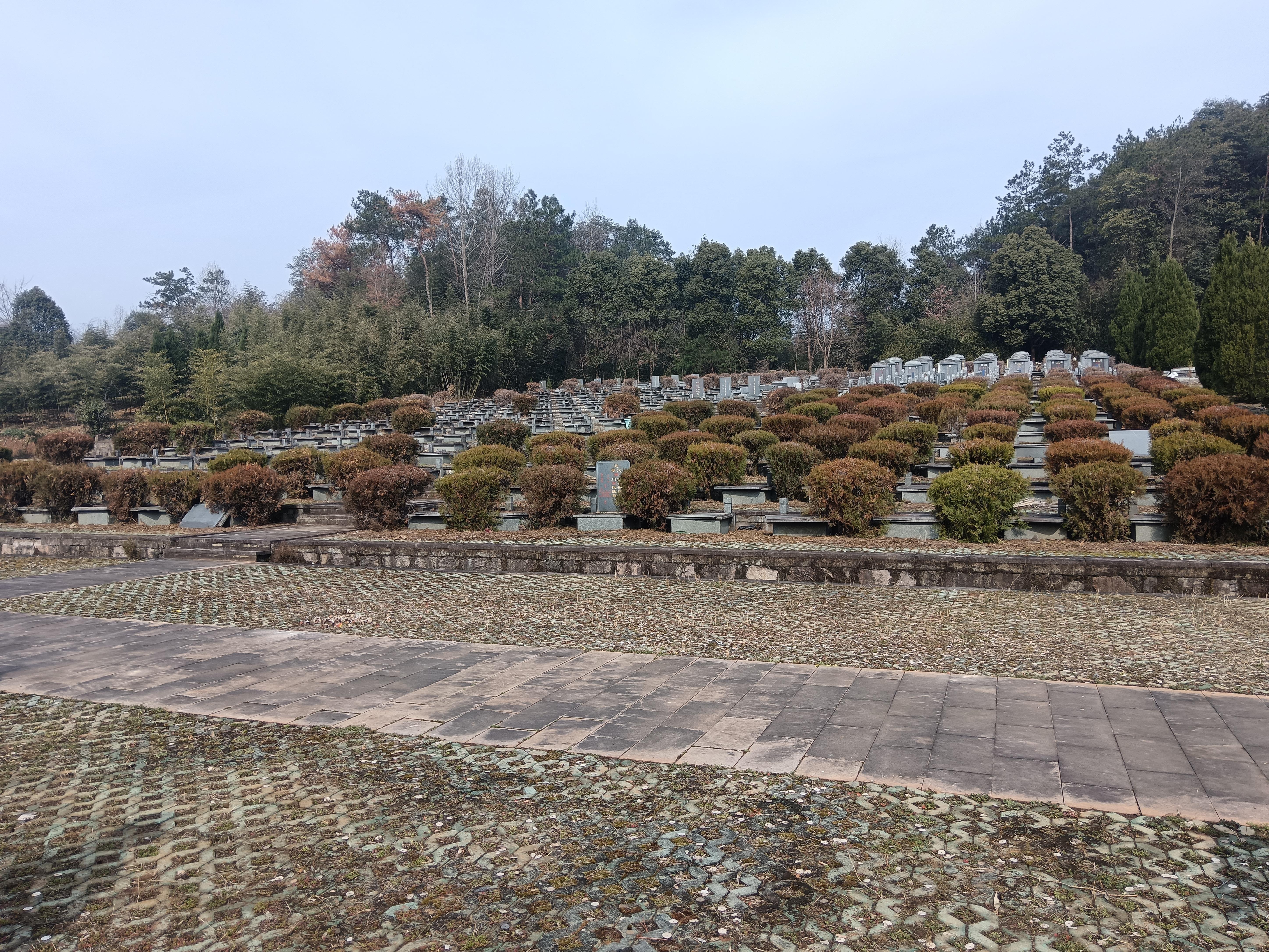 东和乡大林村草毛坞公墓园区图片