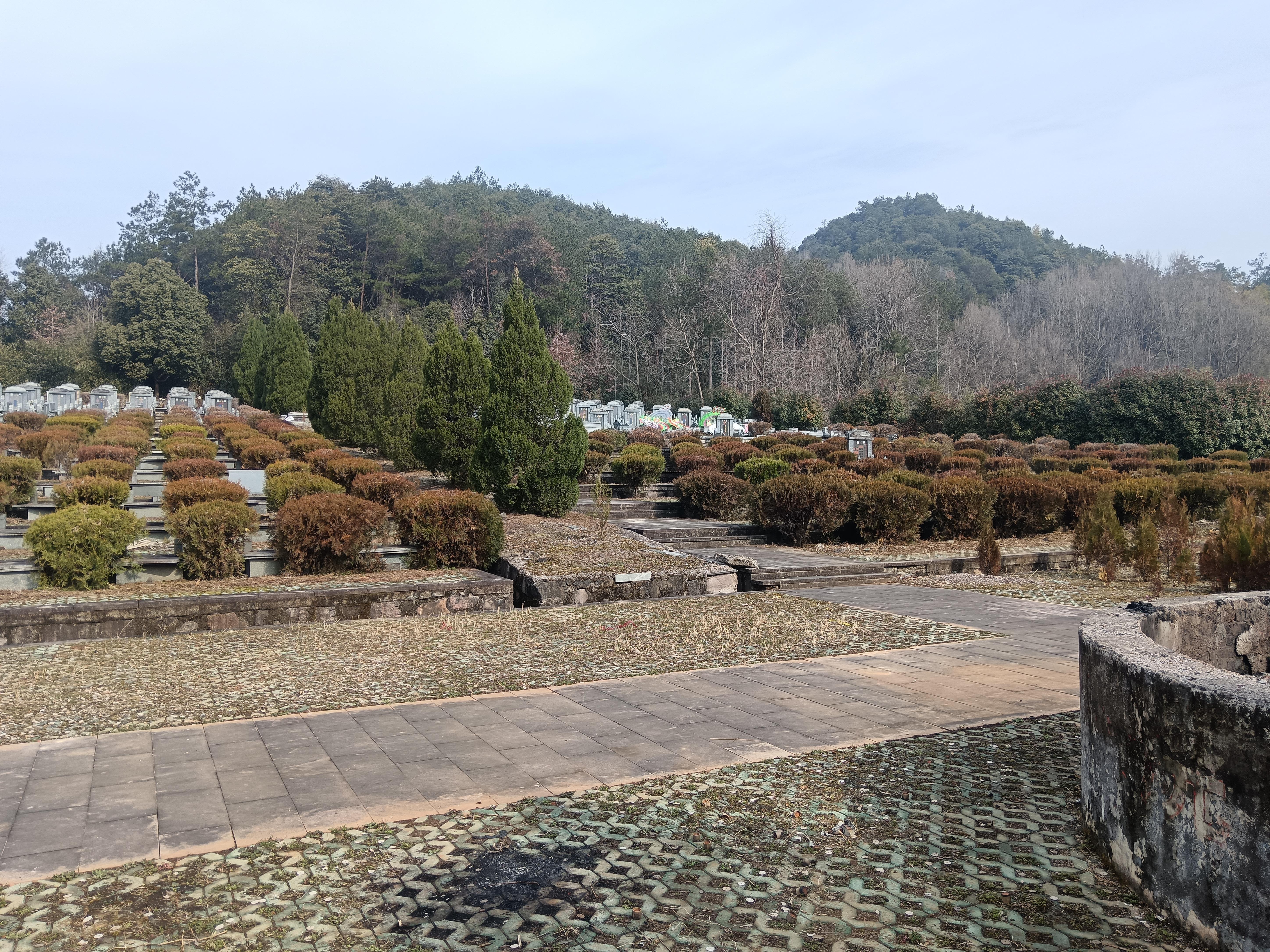东和乡大林村草毛坞公墓园区图片