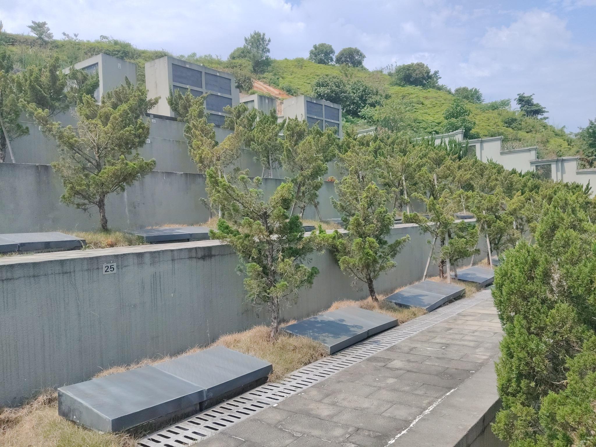 平阳县麻步镇华亭村生态节地葬区园区图片