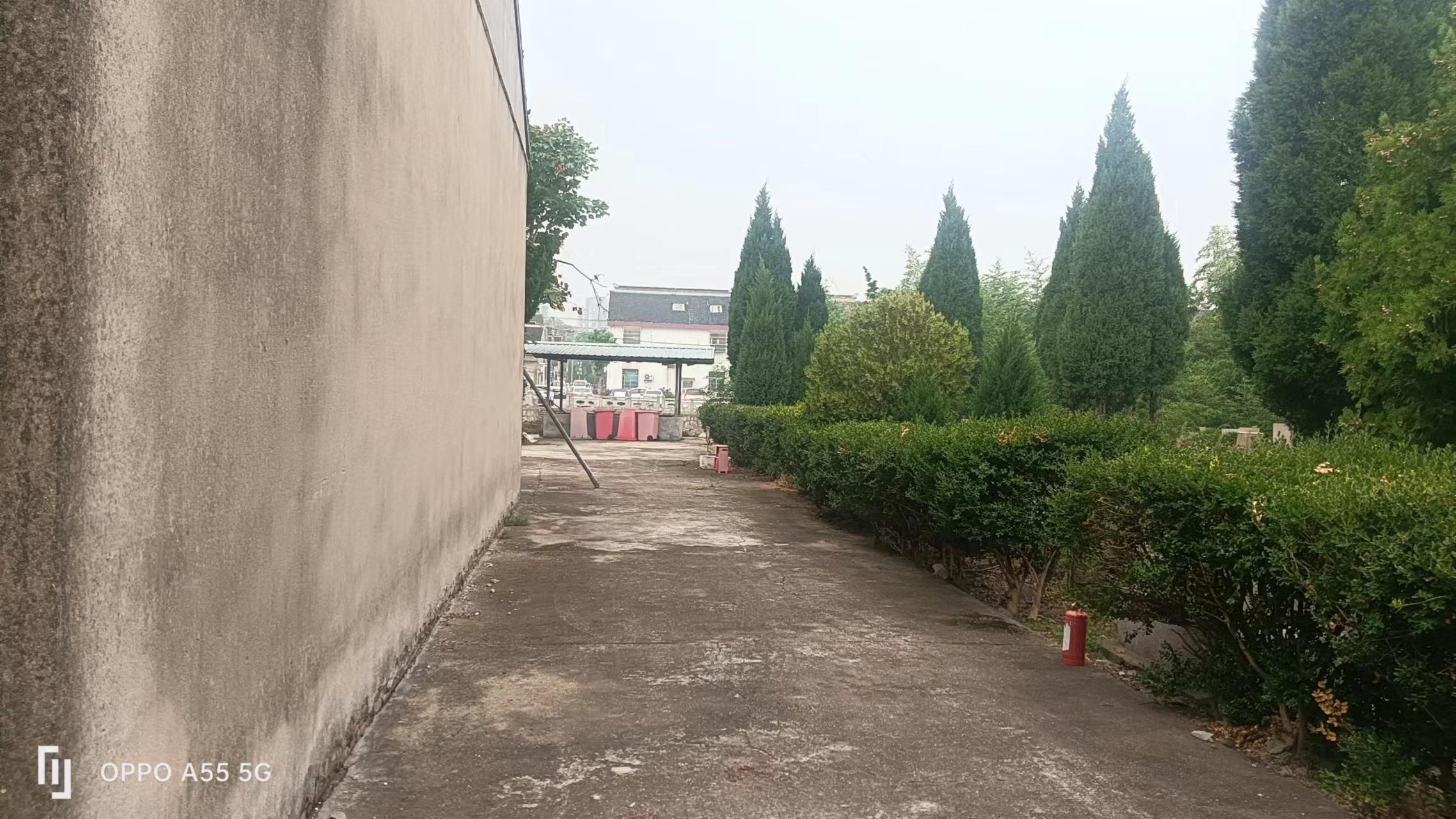 上浜公墓