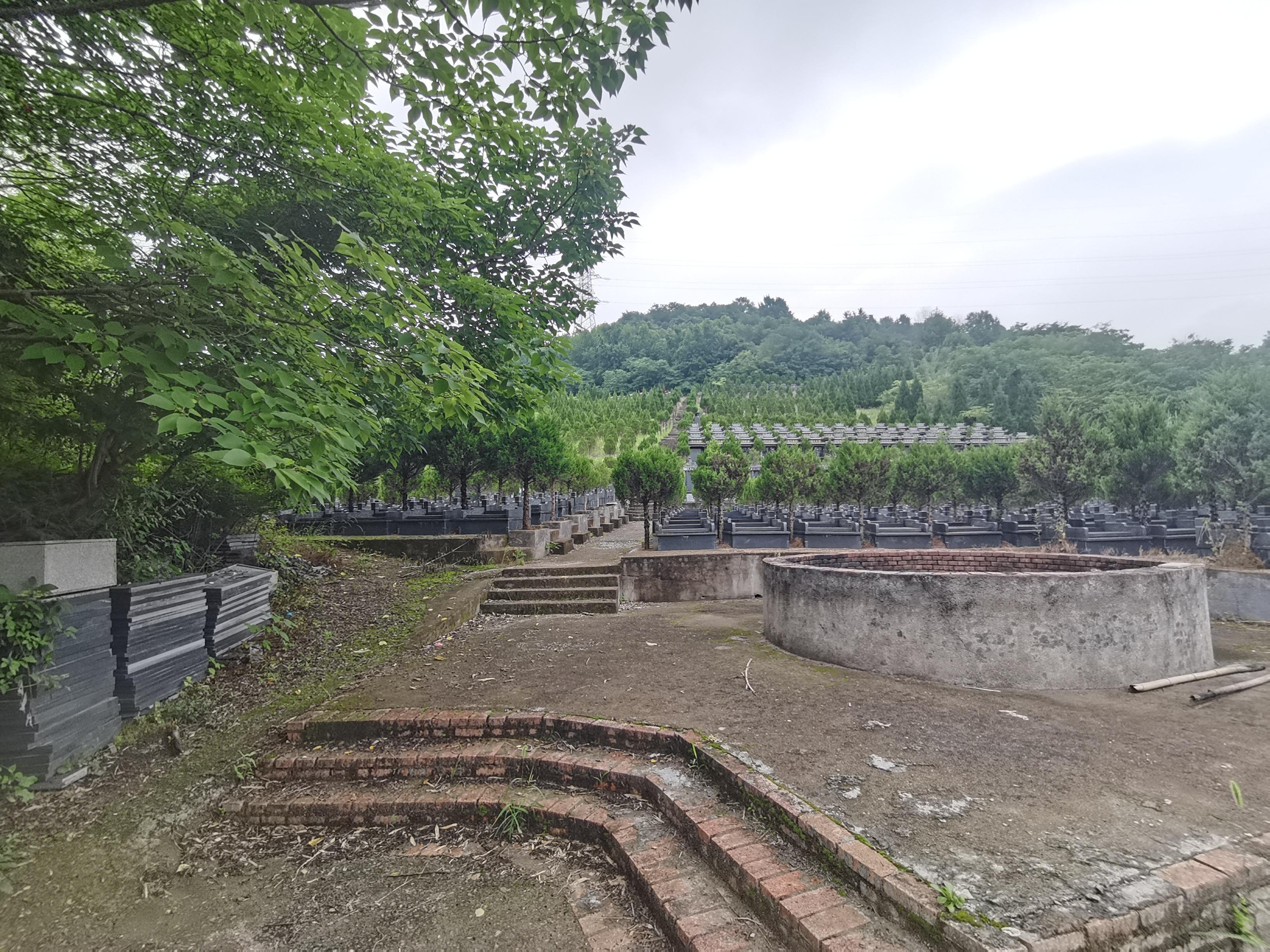 楼家山公墓园区图片