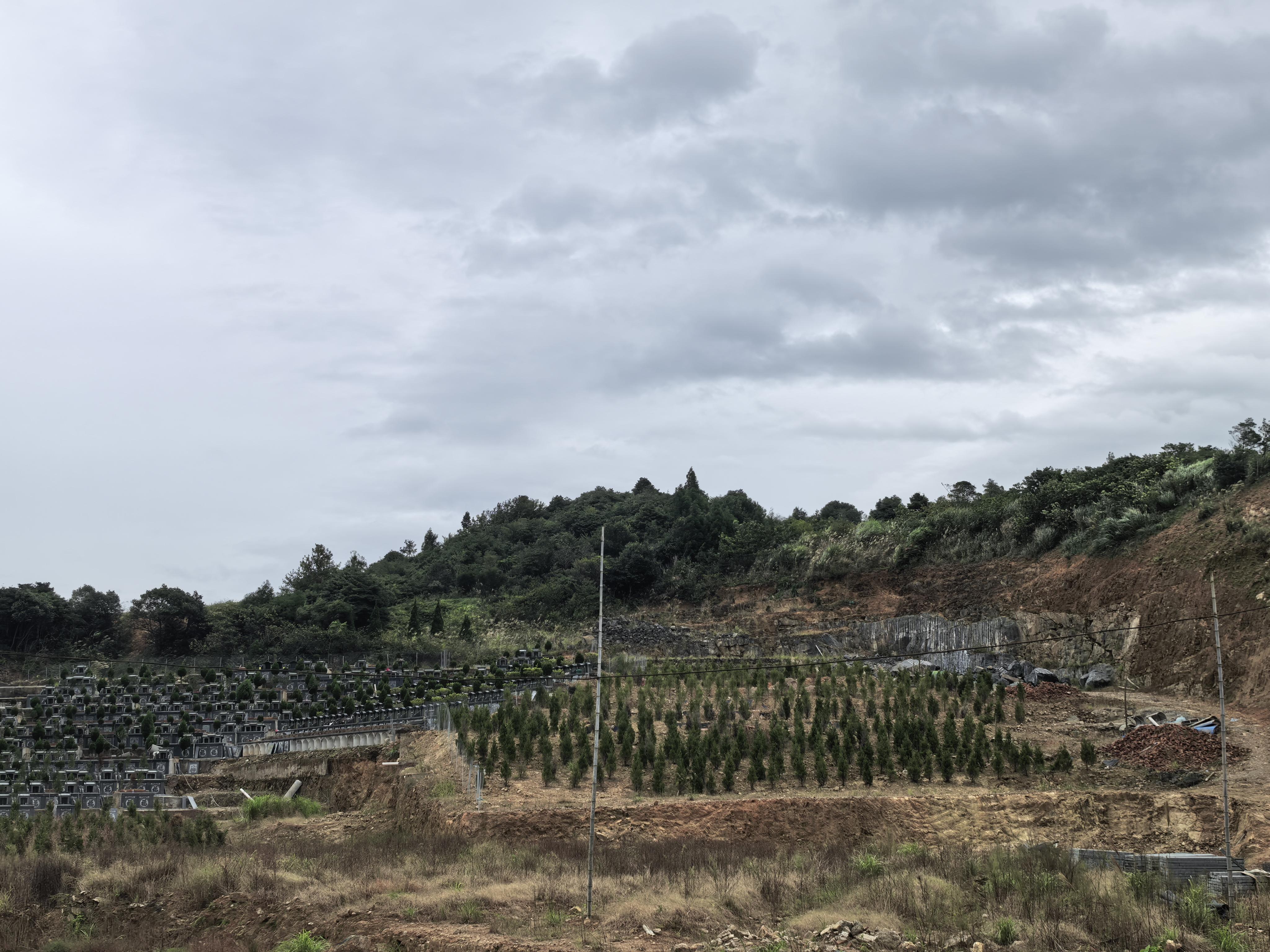 桥墩镇南山头村公益性公墓园区图片