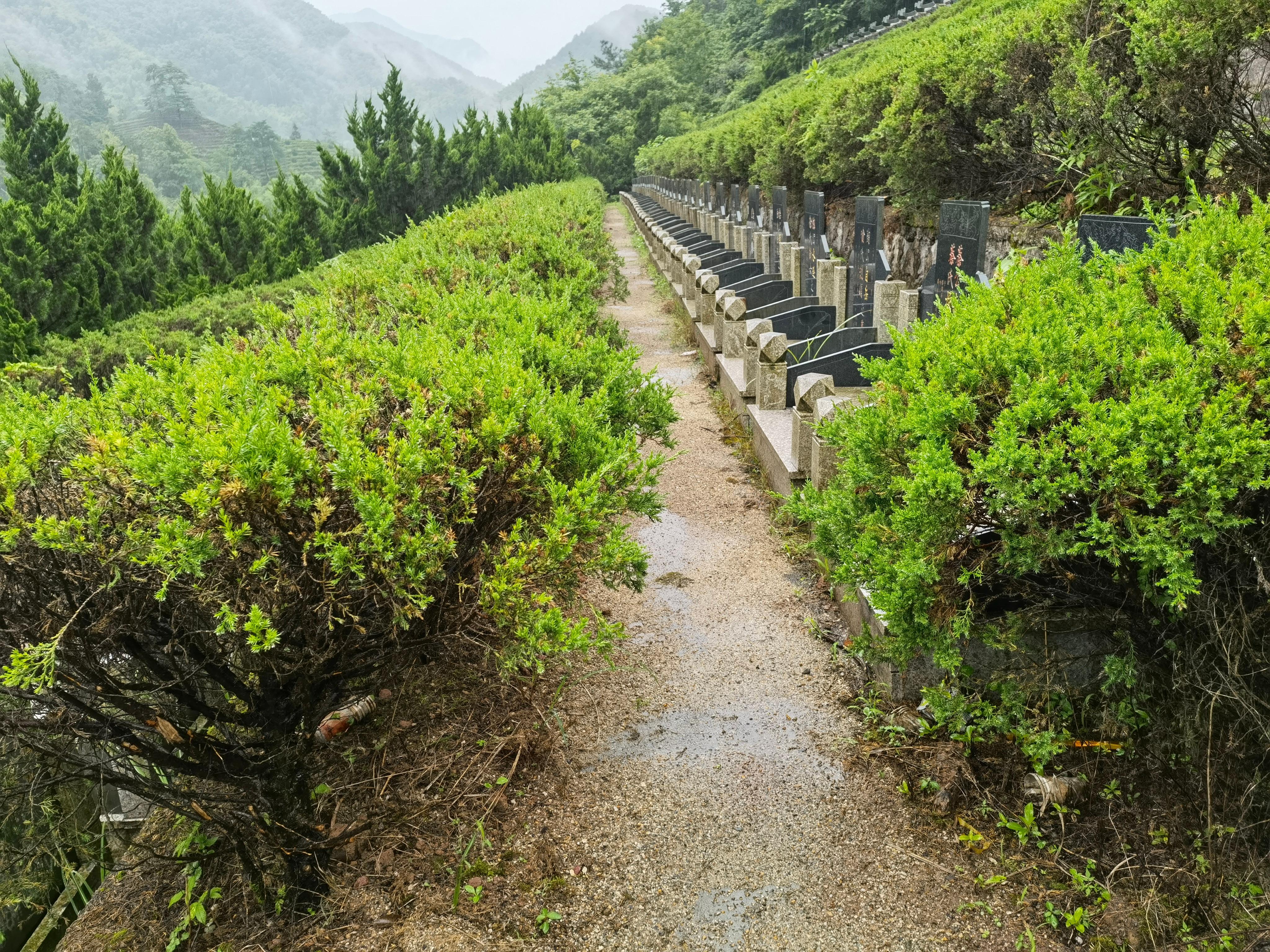 马溪片级公墓园区图片