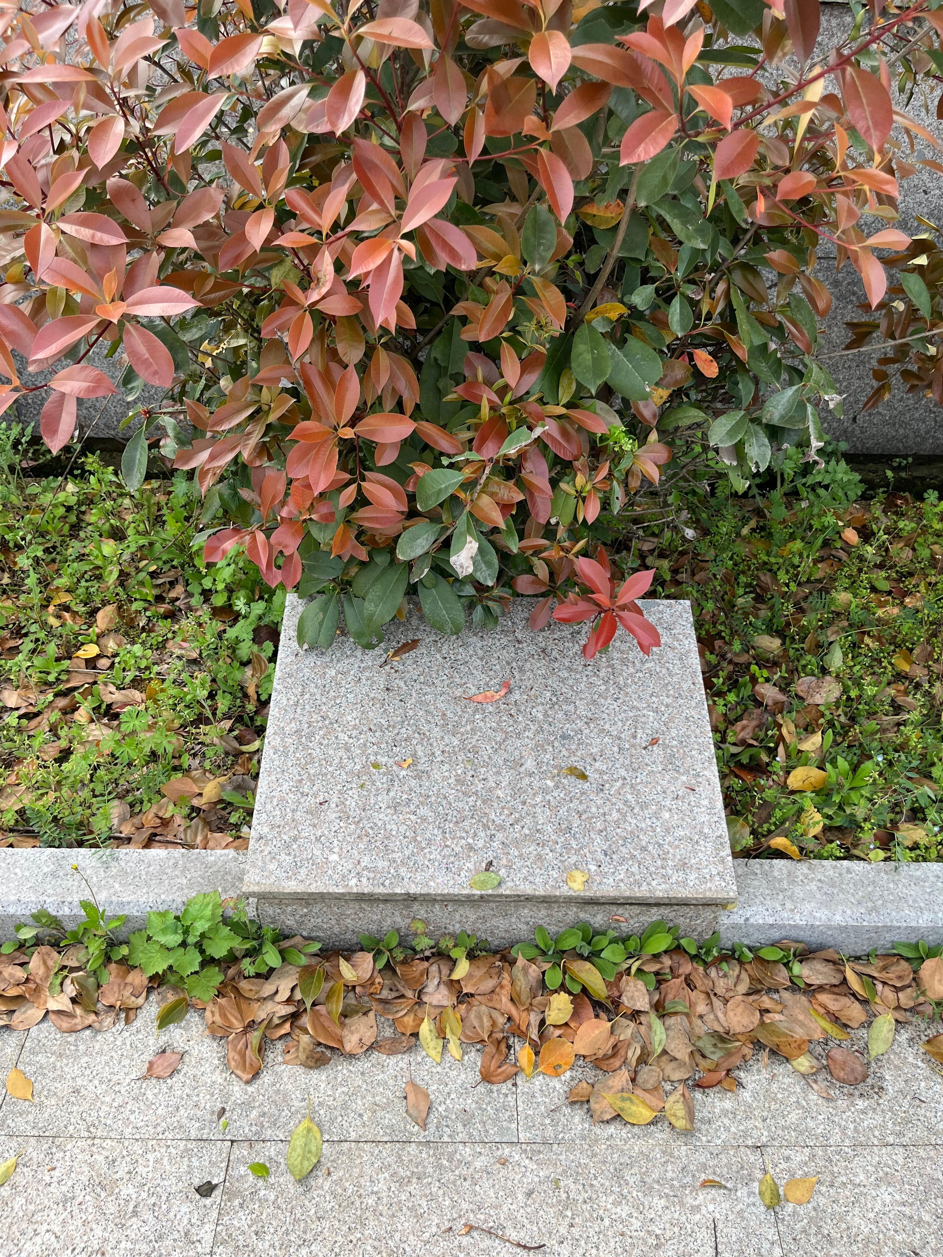 下管镇振新村乌岩头公墓园区图片