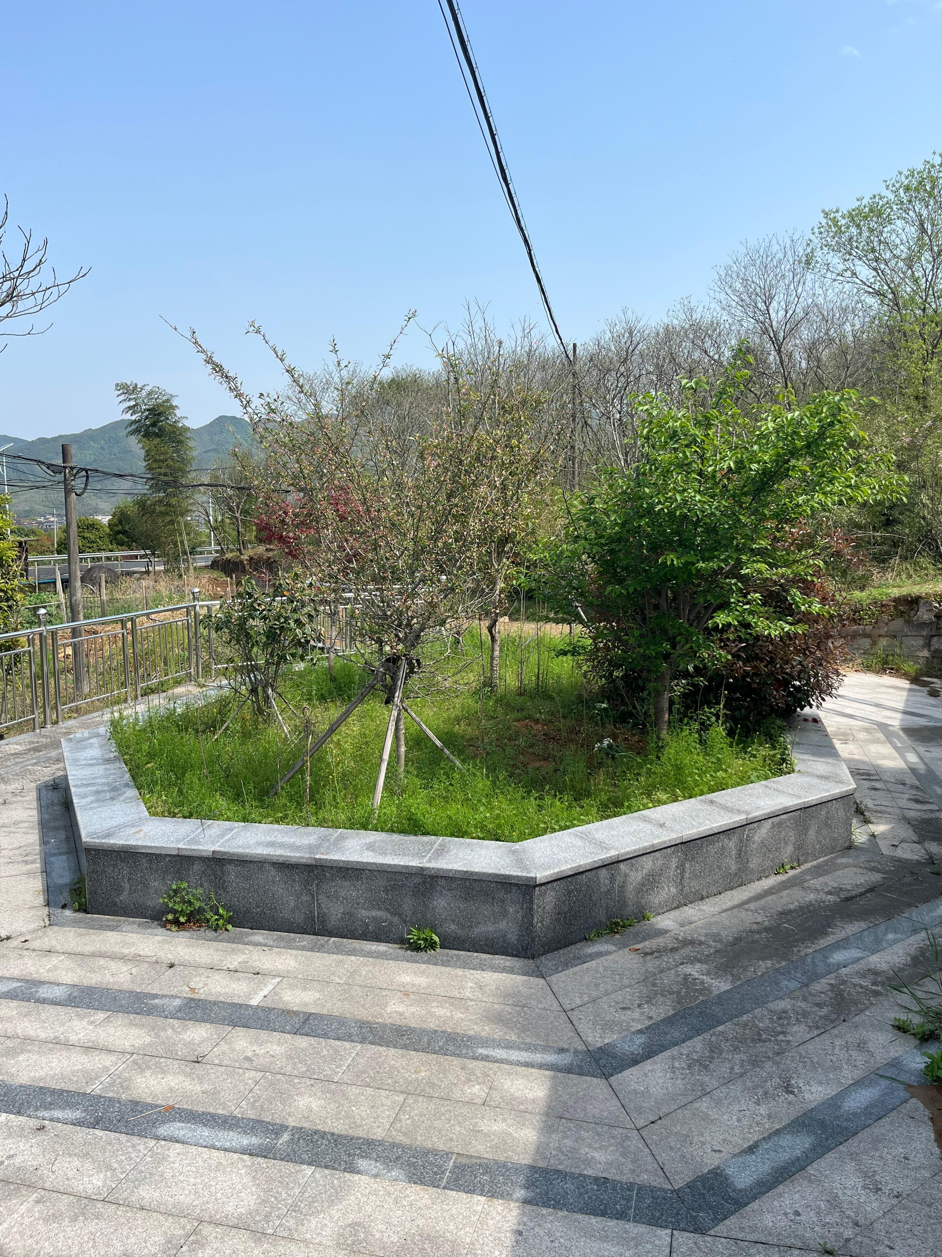 下管镇振新村乌岩头公墓园区图片