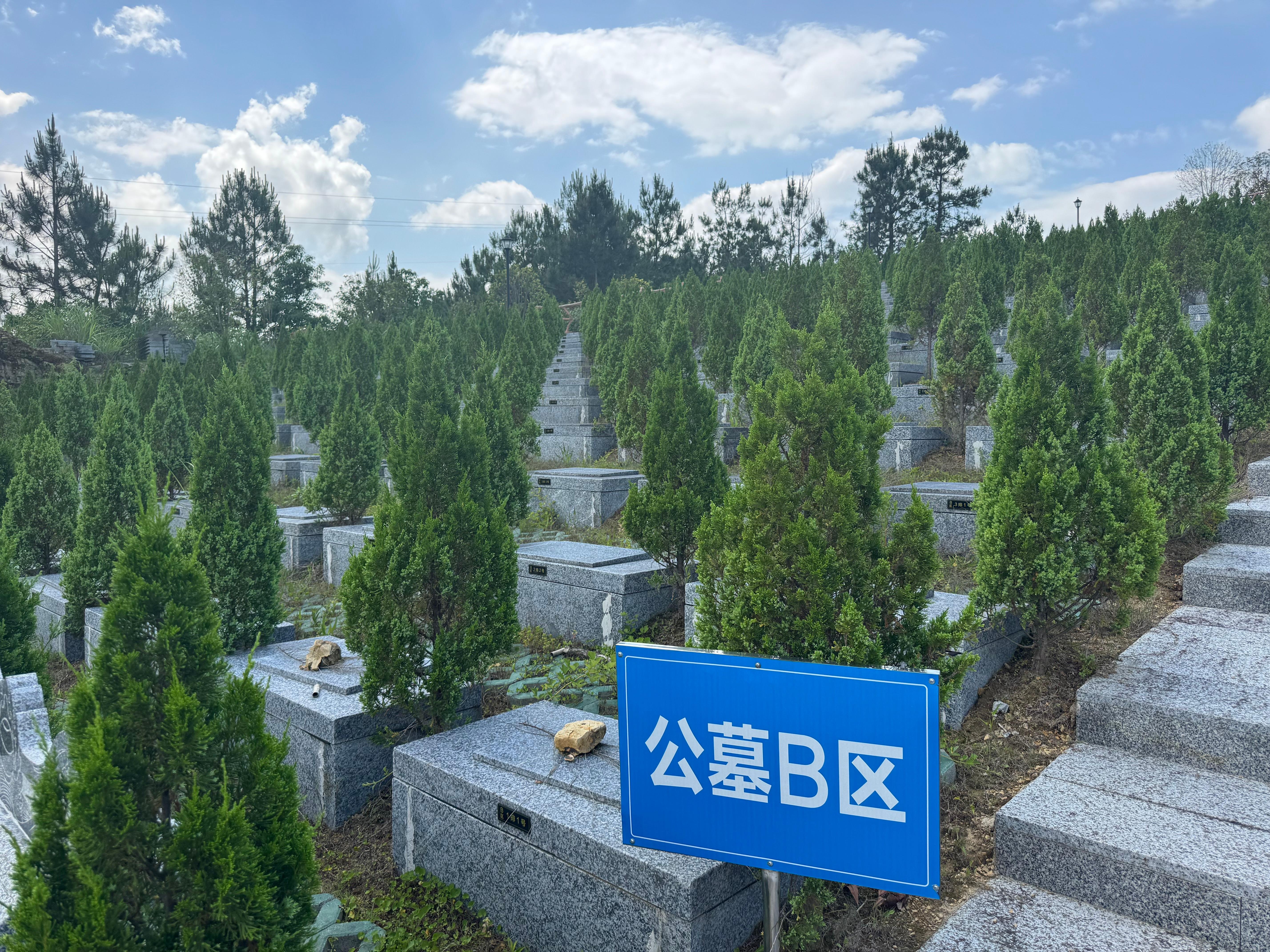 百丈漈镇篁庄公益性生态墓地园区图片