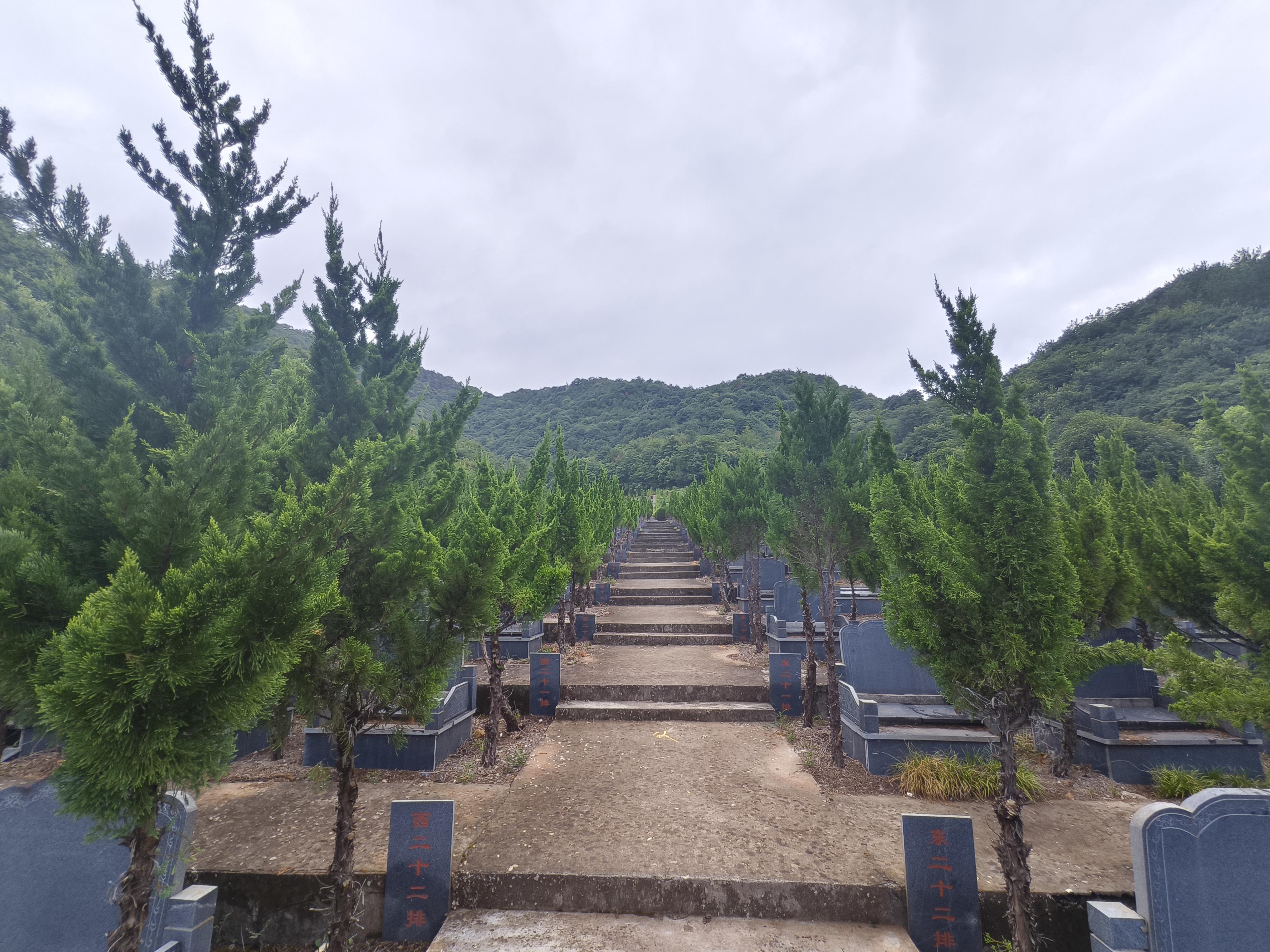 赵家镇生态公墓园区图片
