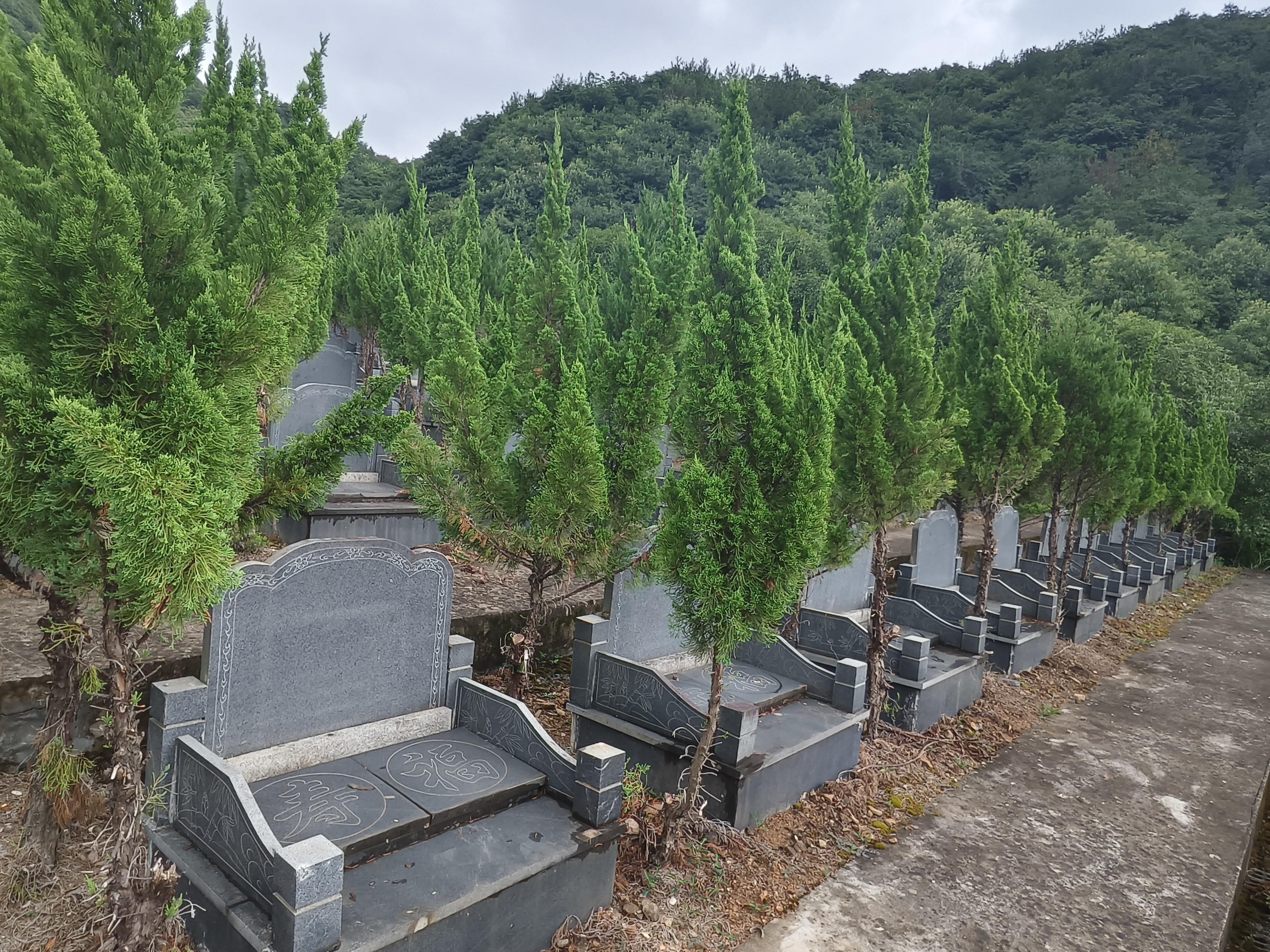 赵家镇生态公墓园区图片