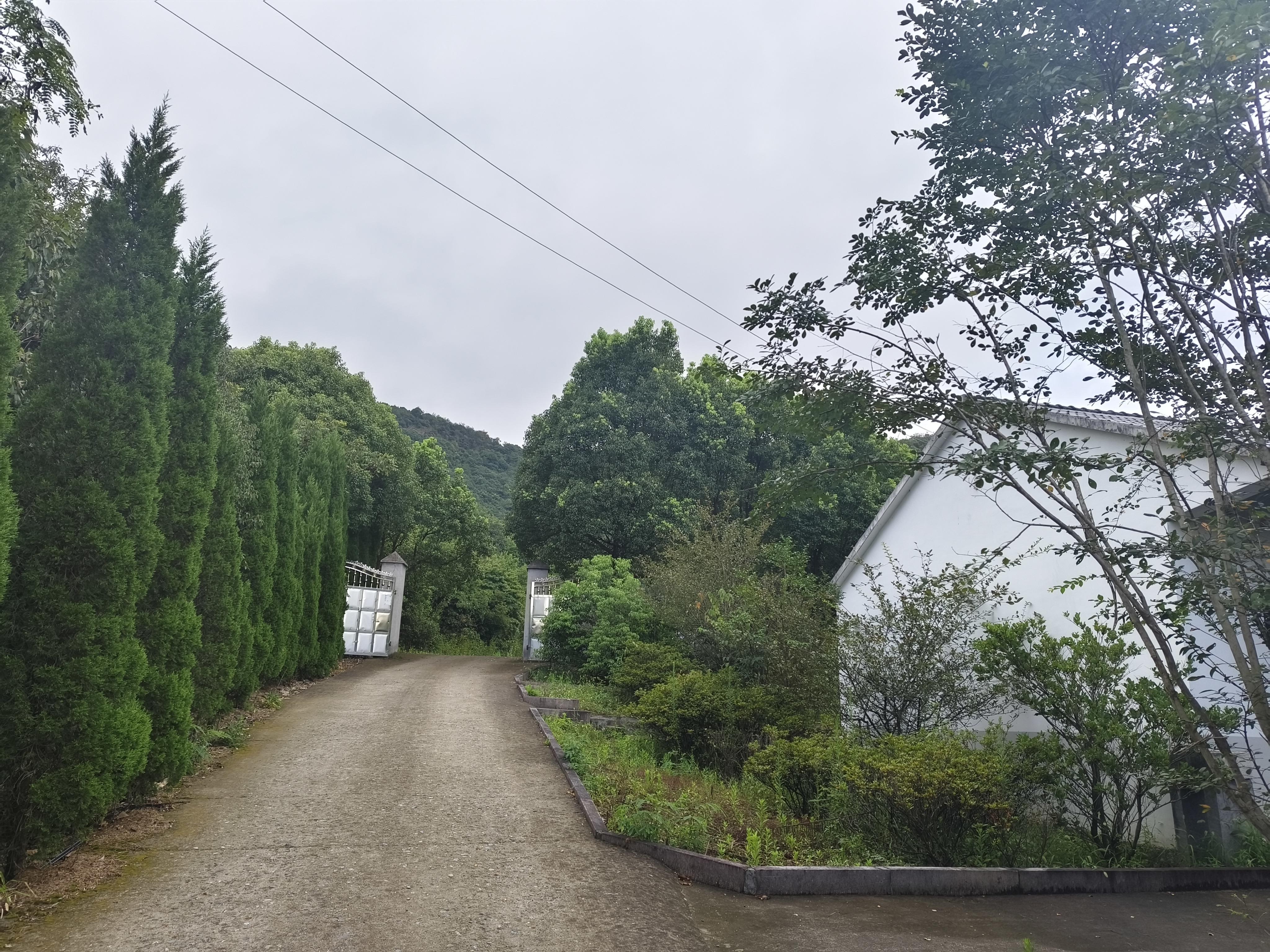 赵家镇生态公墓园区图片