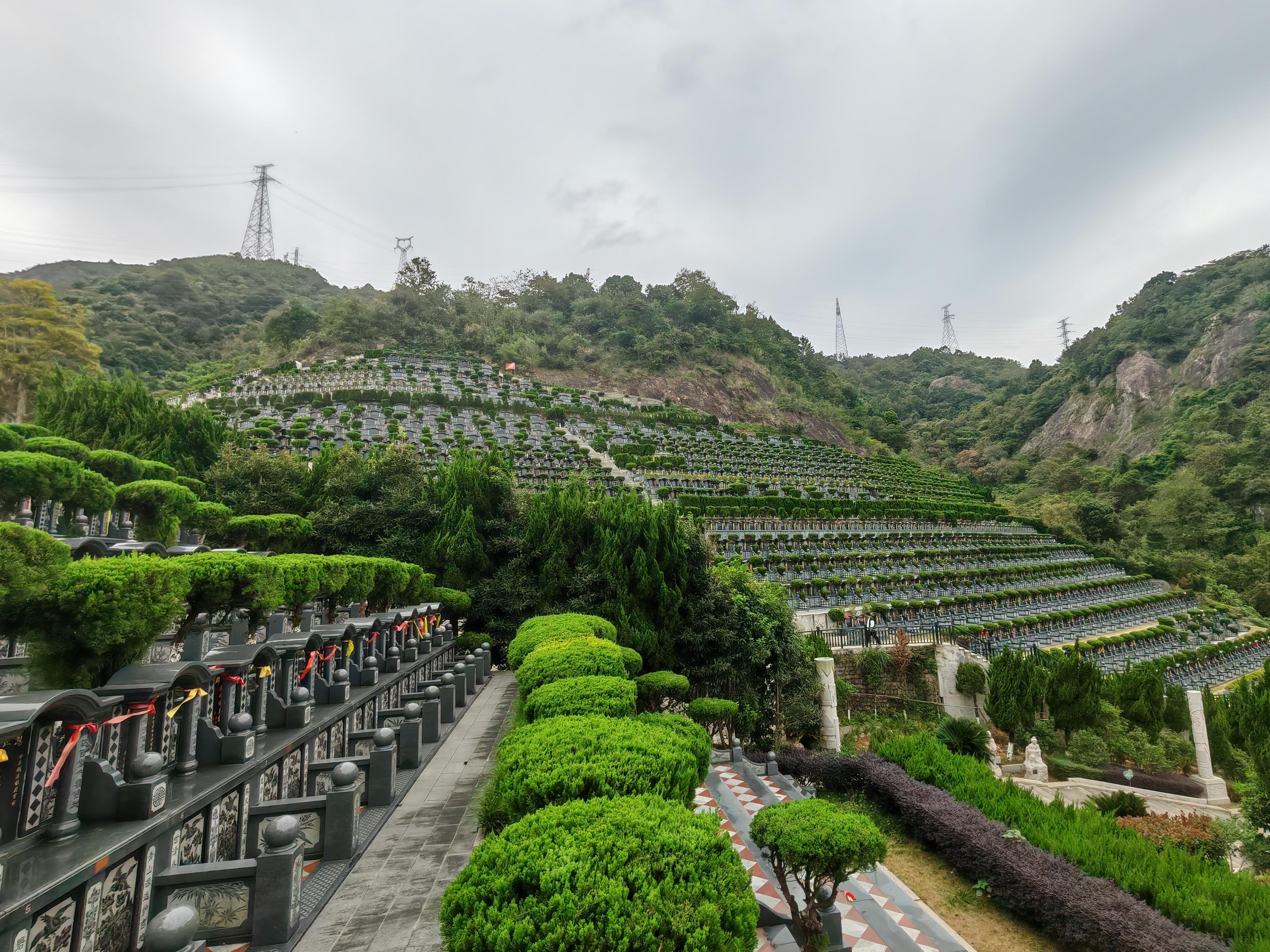 钱库镇金龙山公益性公墓园区图片