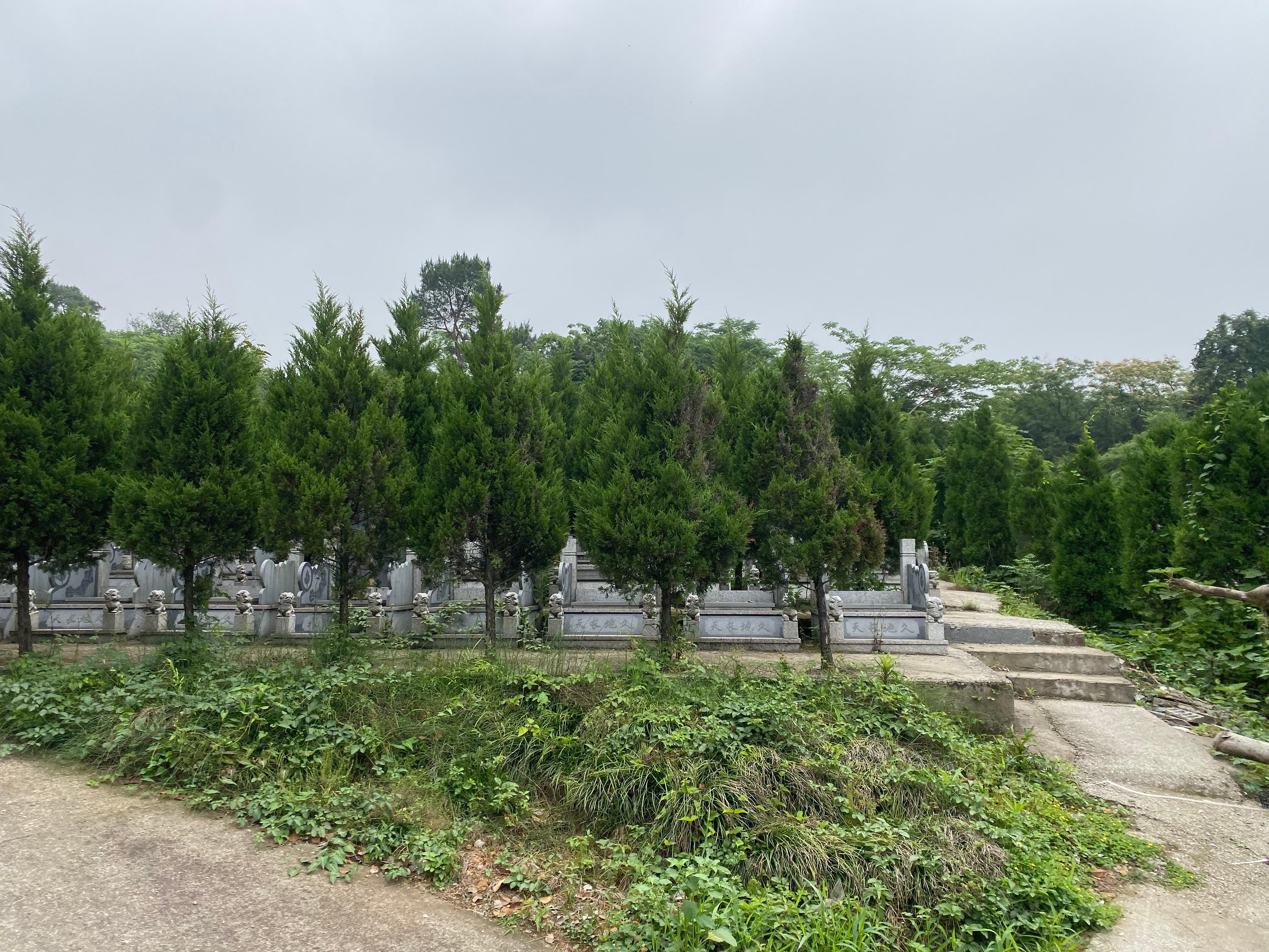 东关街道银山陵园园区图片