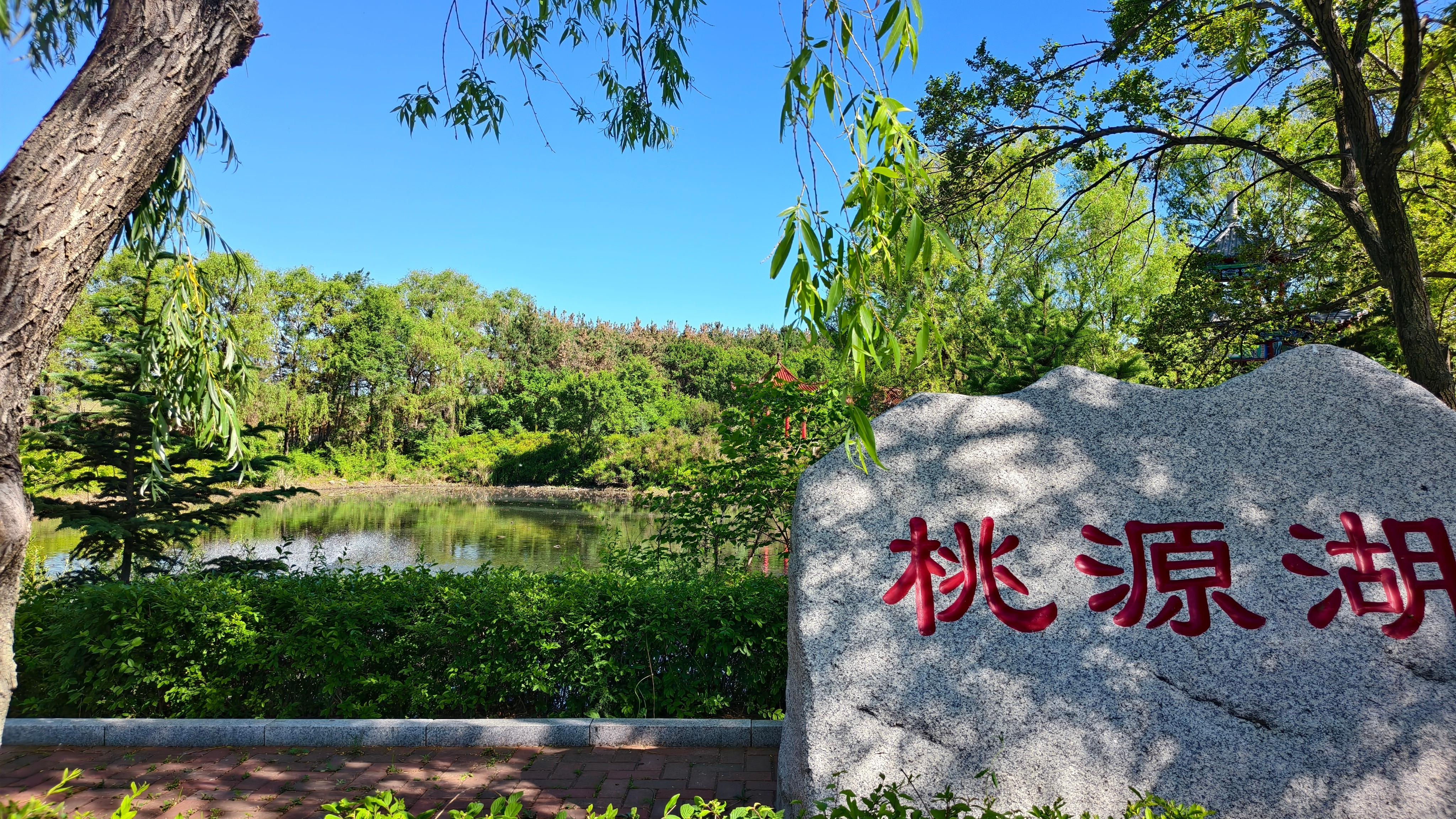 长春龙凤公墓园区图片