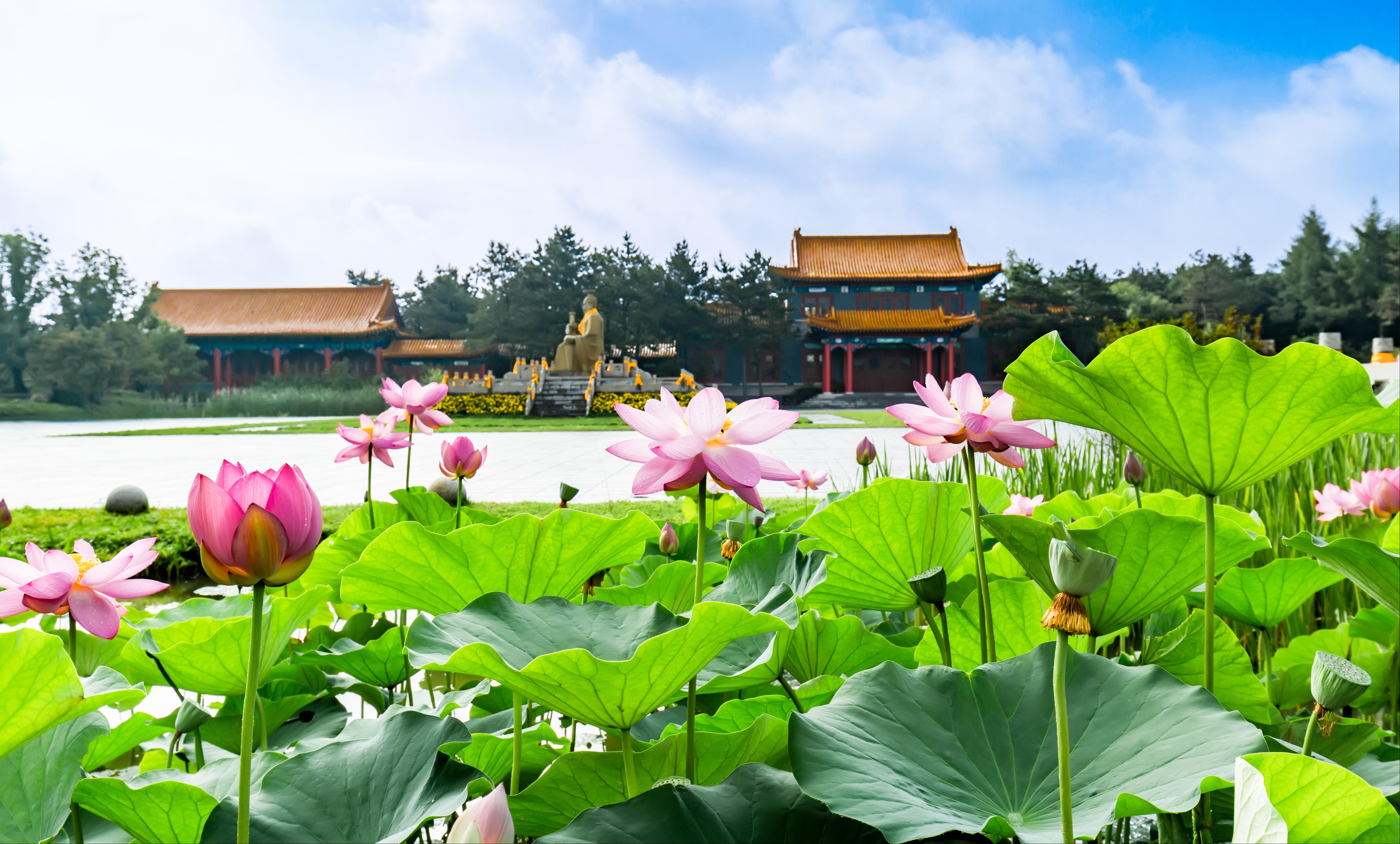 长春华夏陵园园区图片