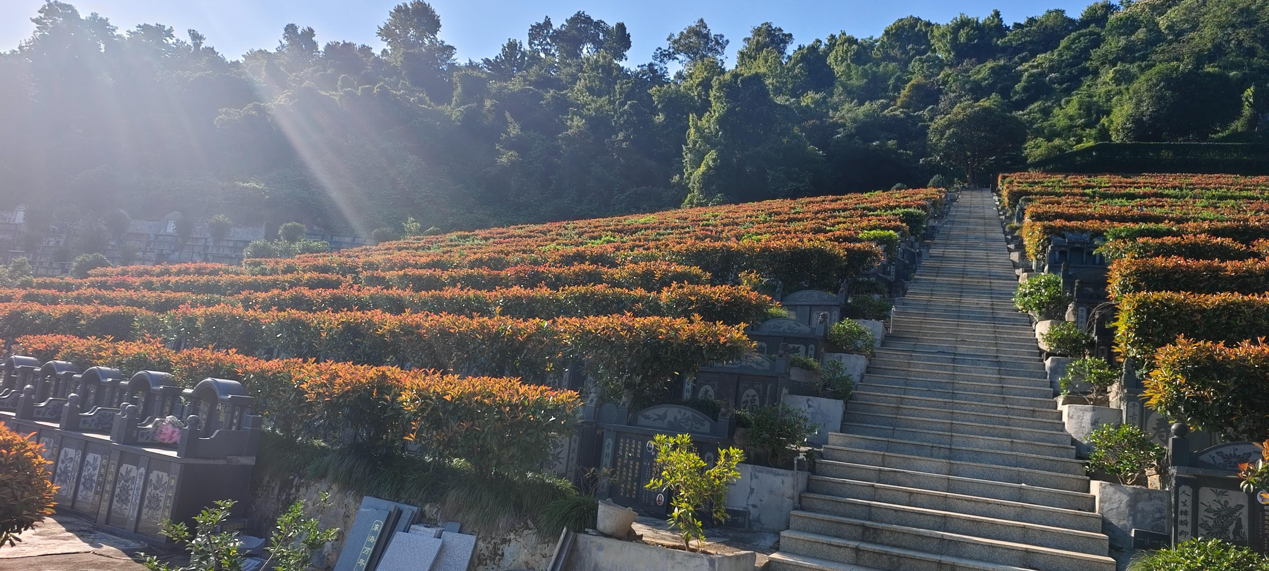 昆阳镇凤山村公益性墓地园区图片