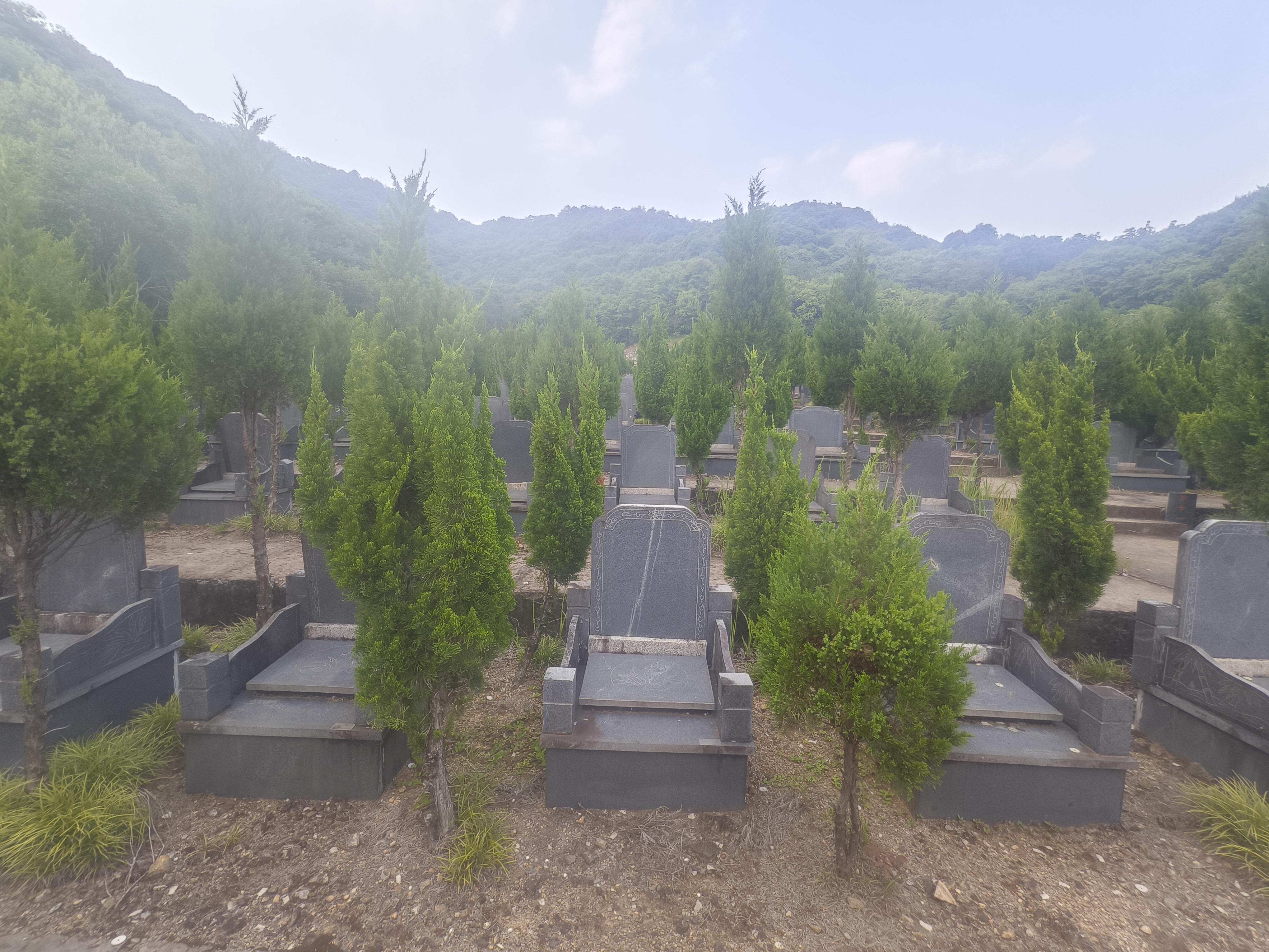 赵家镇生态公墓园区图片