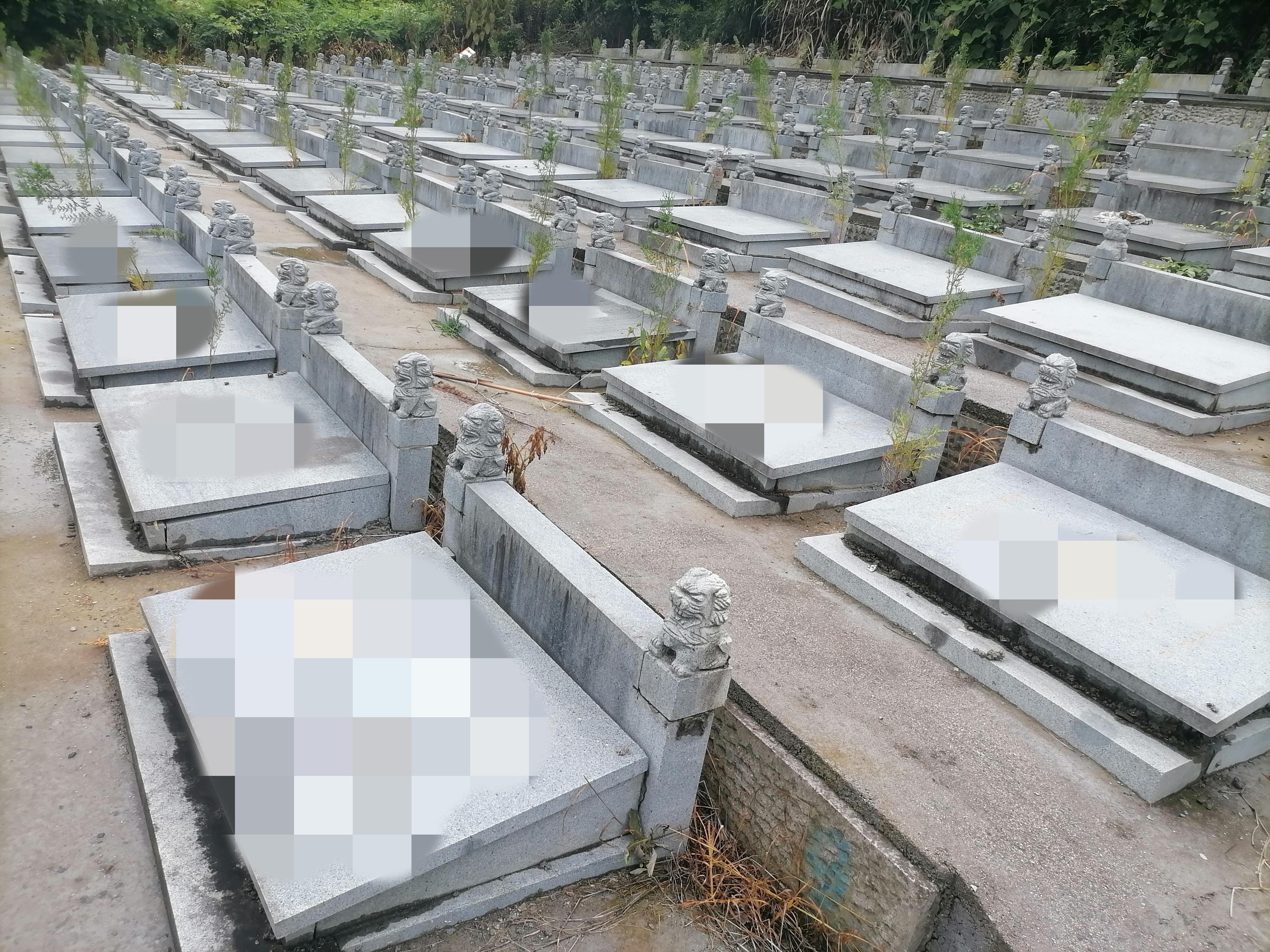 柯桥区杨汛桥街道天成园园区图片