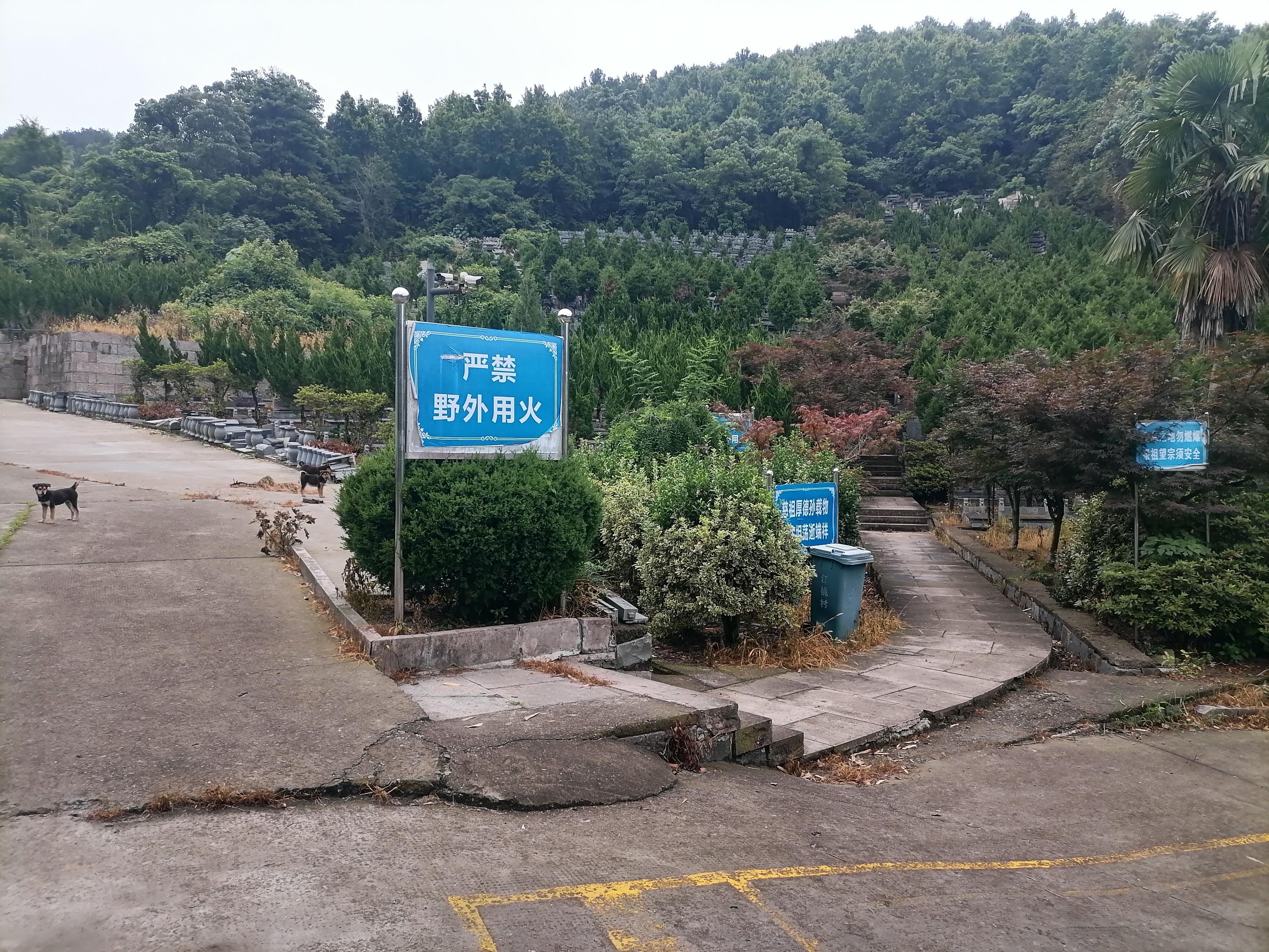 柯桥区杨汛桥街道天成园园区图片