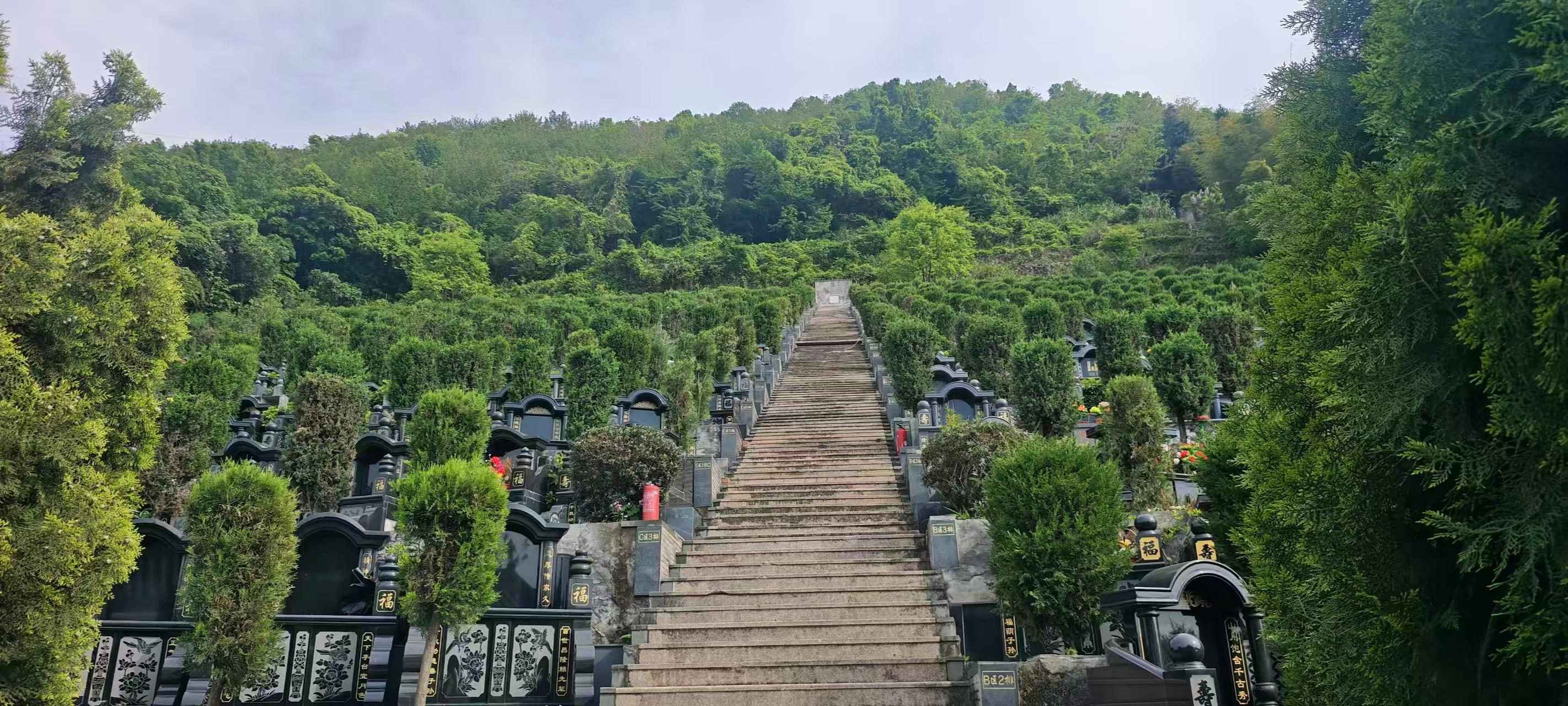 昆阳镇周贵垟村公益性墓地园区图片