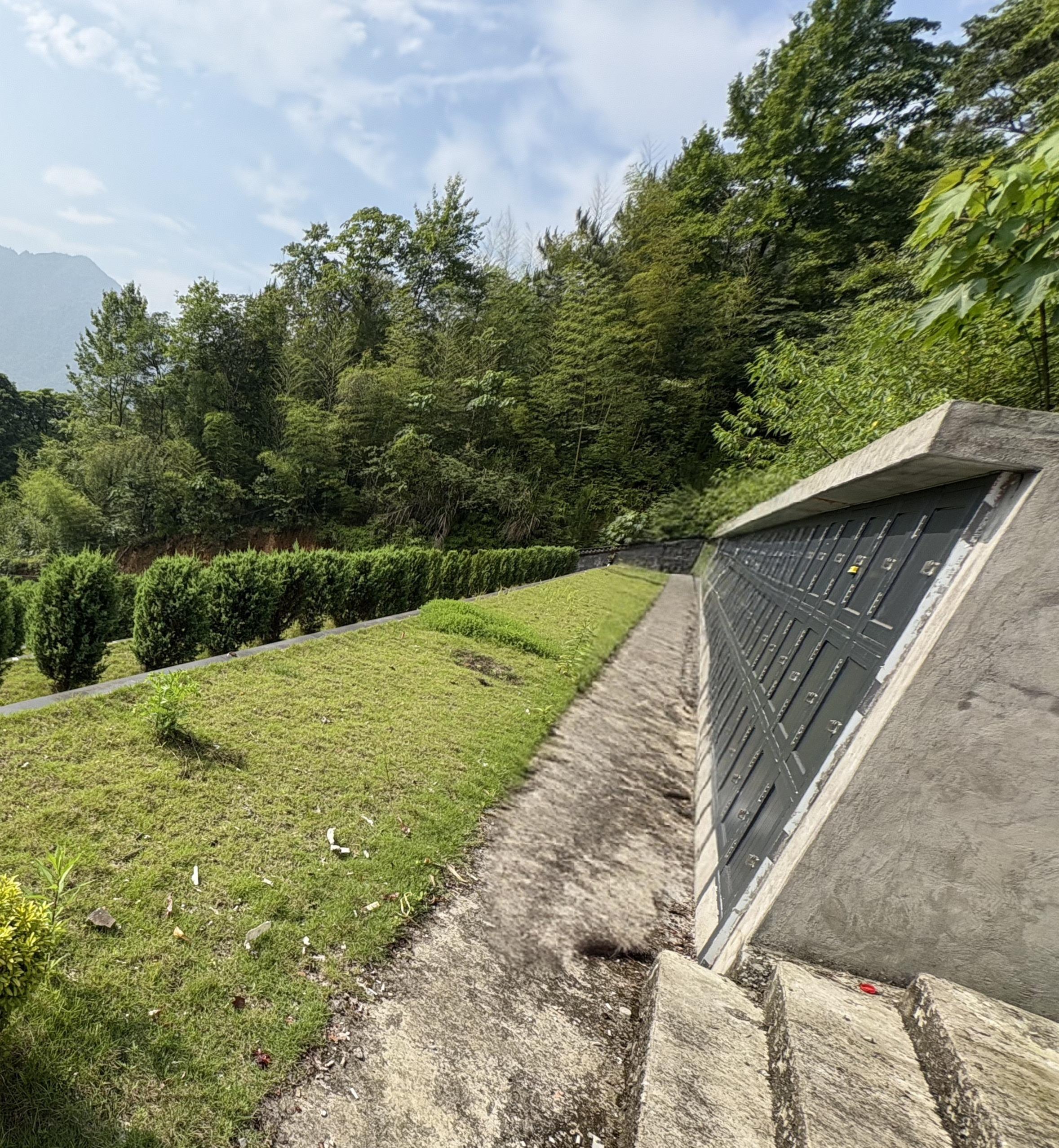 平阳县水头镇龙涵村生态节地葬区园区图片