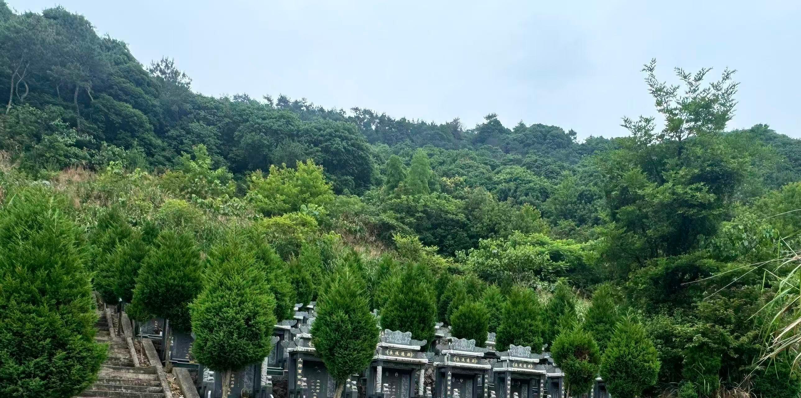北街村公墓园区图片