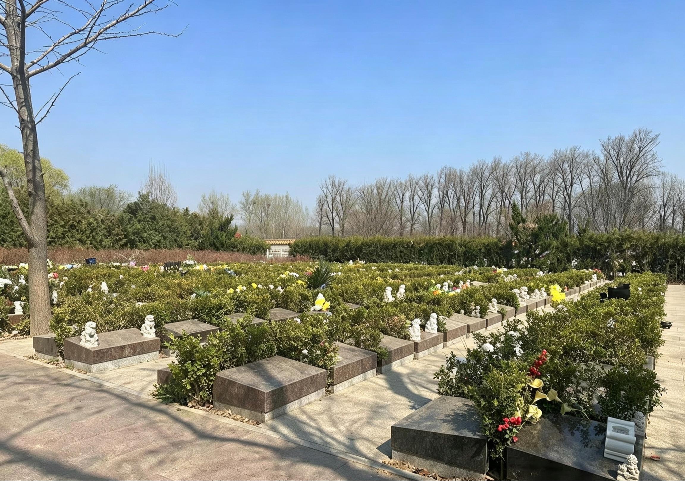 九里山公墓二区园区图片