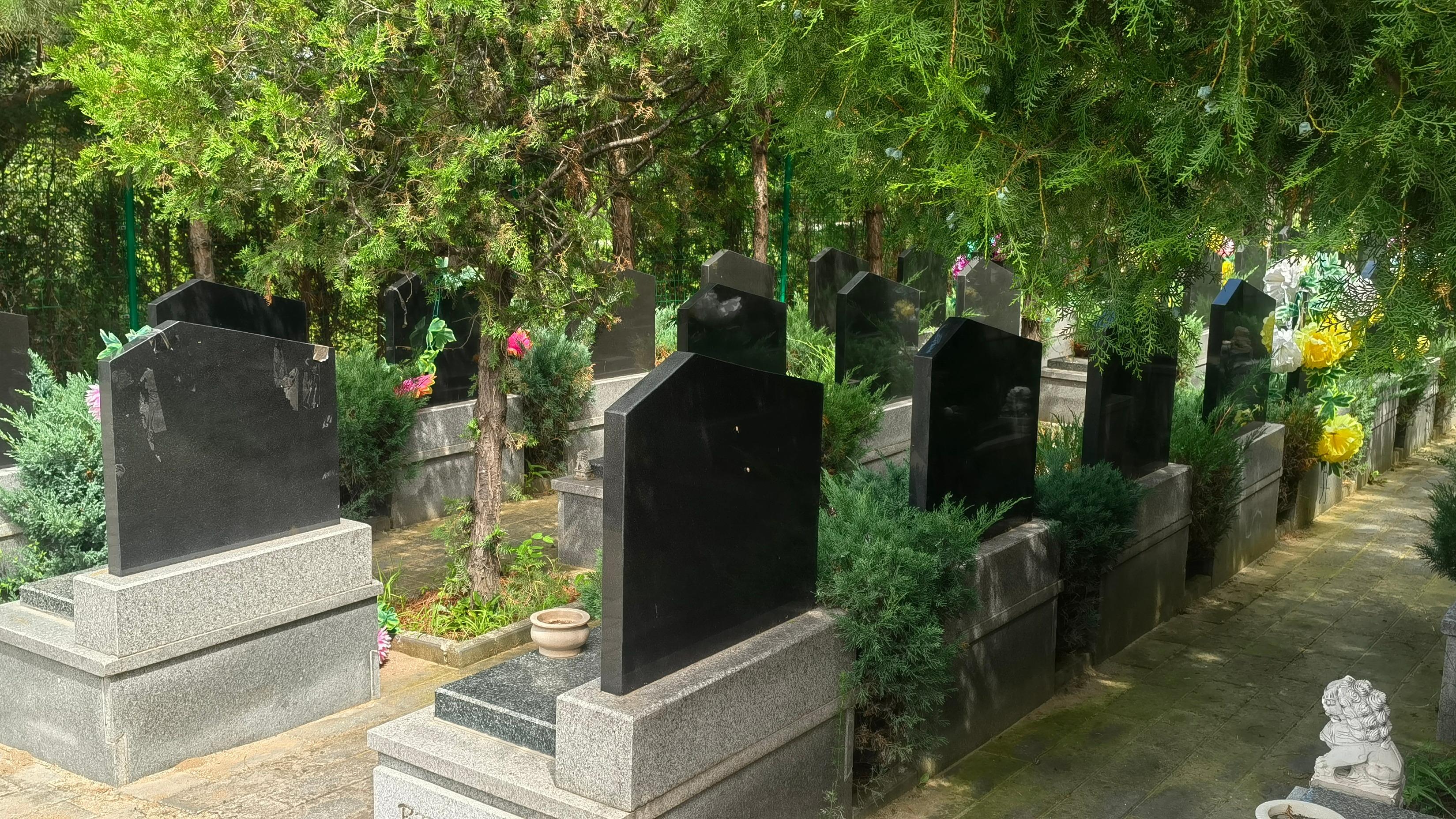 大榆树镇小泥河公益性公墓园区图片