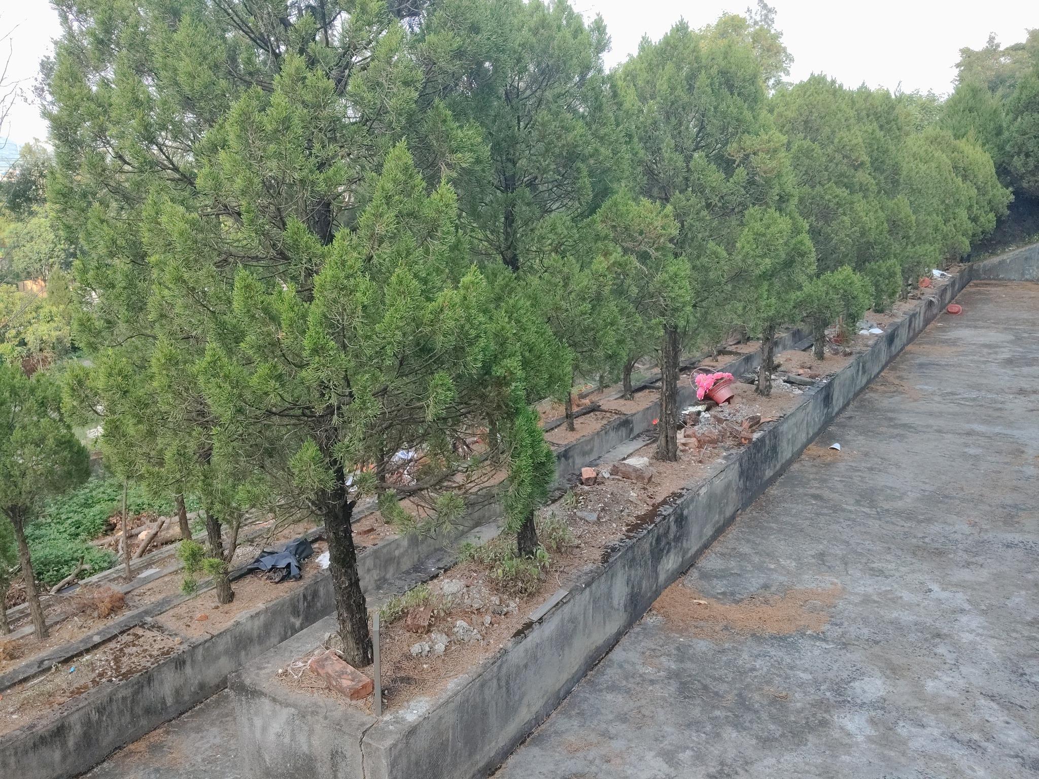麻步镇鳌峰公益性墓地园区图片
