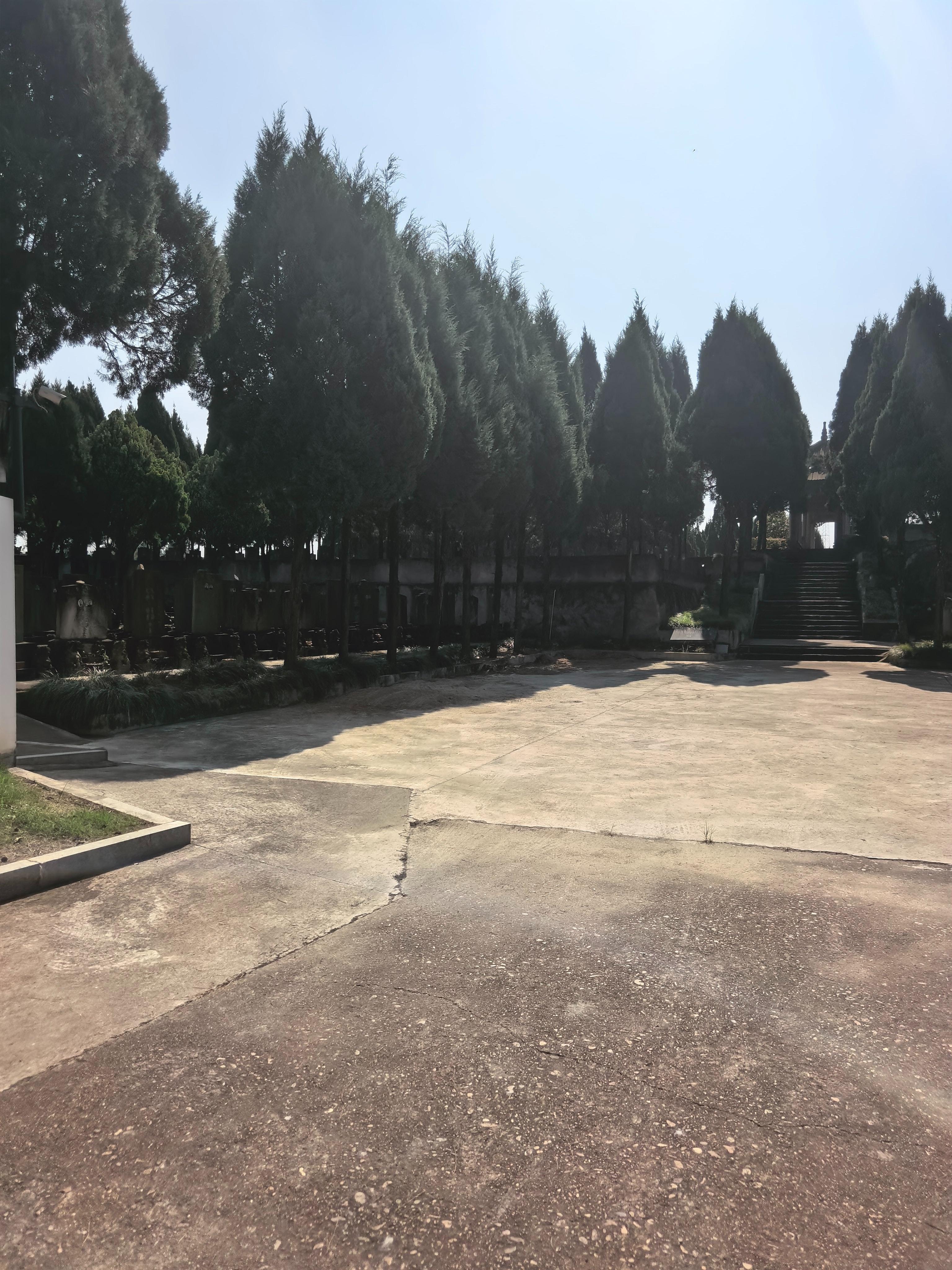 龙游县殡仪馆公墓园区图片